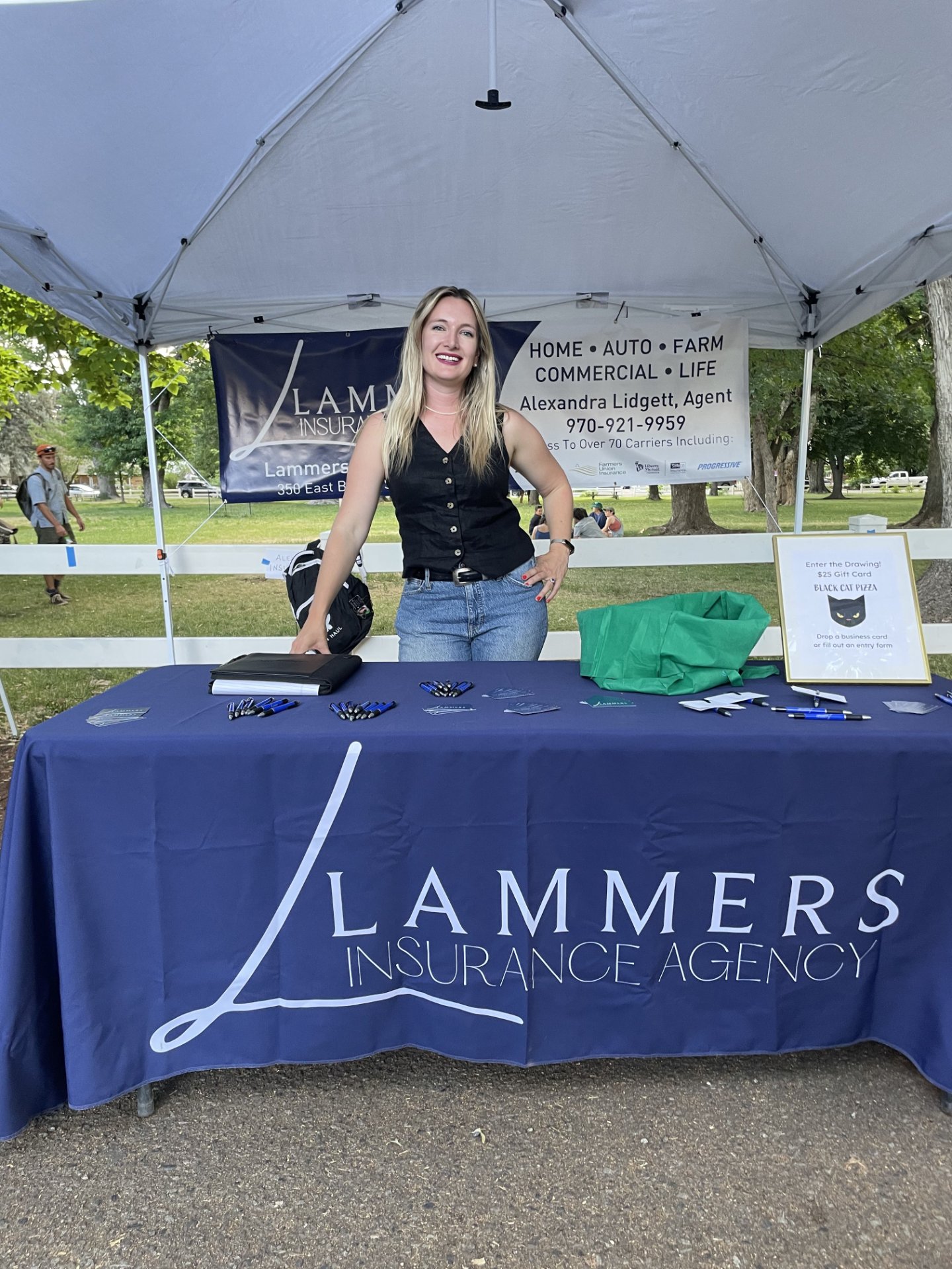 Lammers Insurance Agency, Auto Insurance in Denver, CO - photo 3