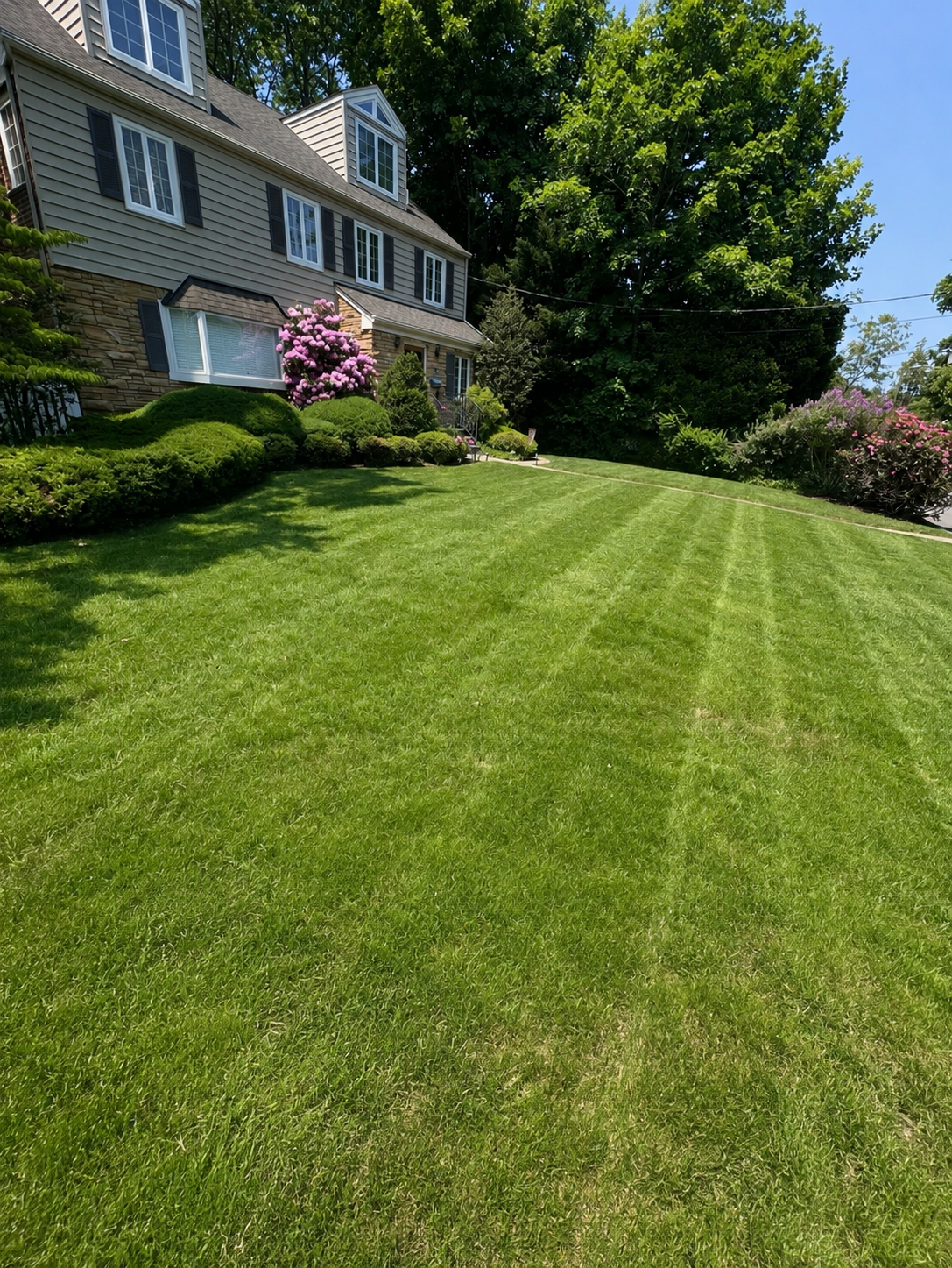 Kingdom Lawn Care Service llc, Lawn Mowing and Trimming in Saddle Brook, NJ - photo 3