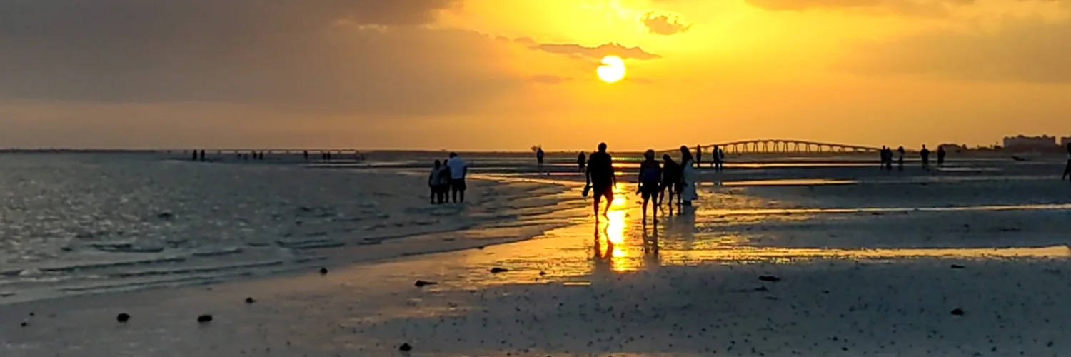Selling Sunsets Group cover photo