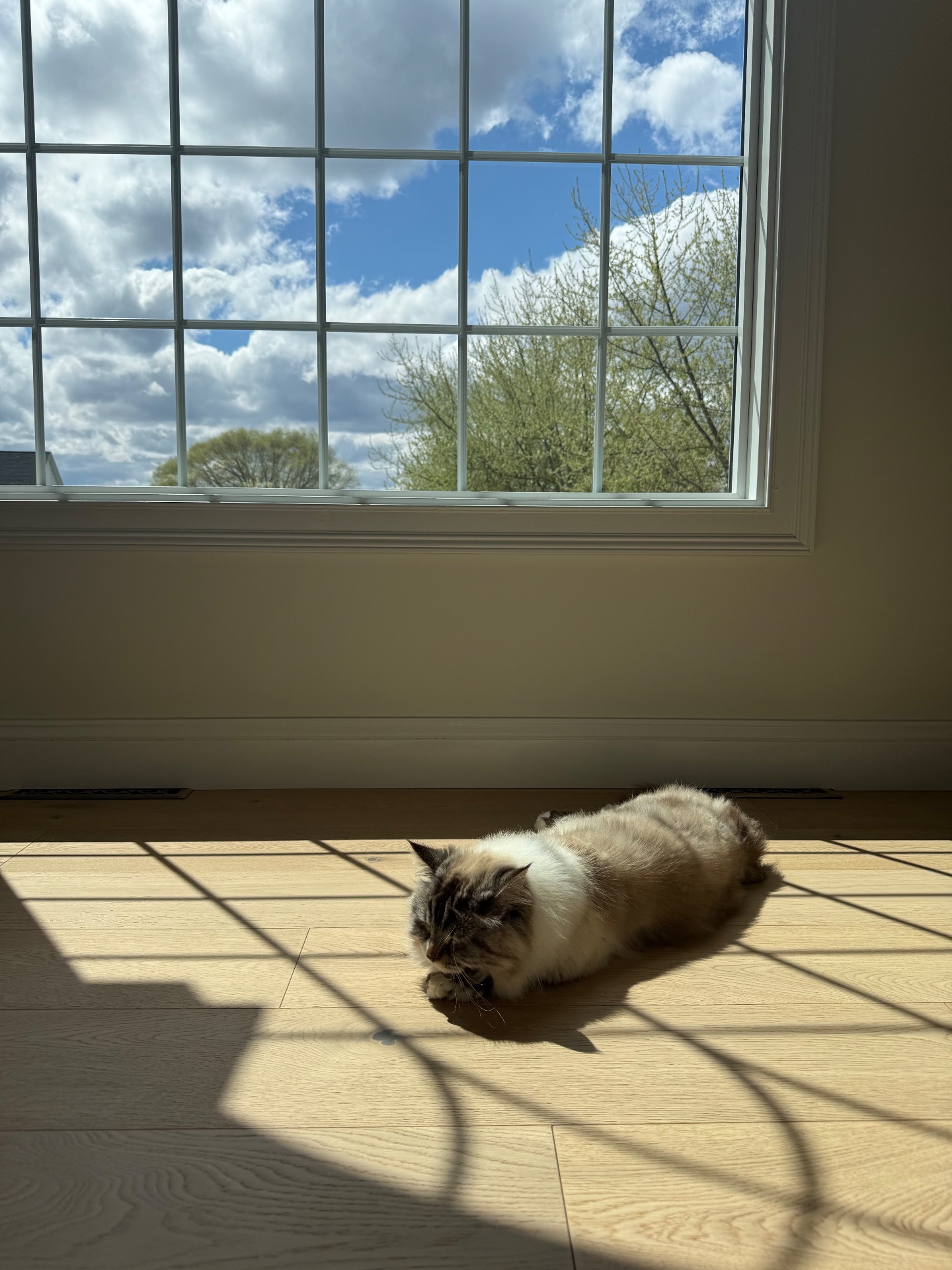 SS Renovation LLC, Custom Window Design in Westfield, MA - photo 1