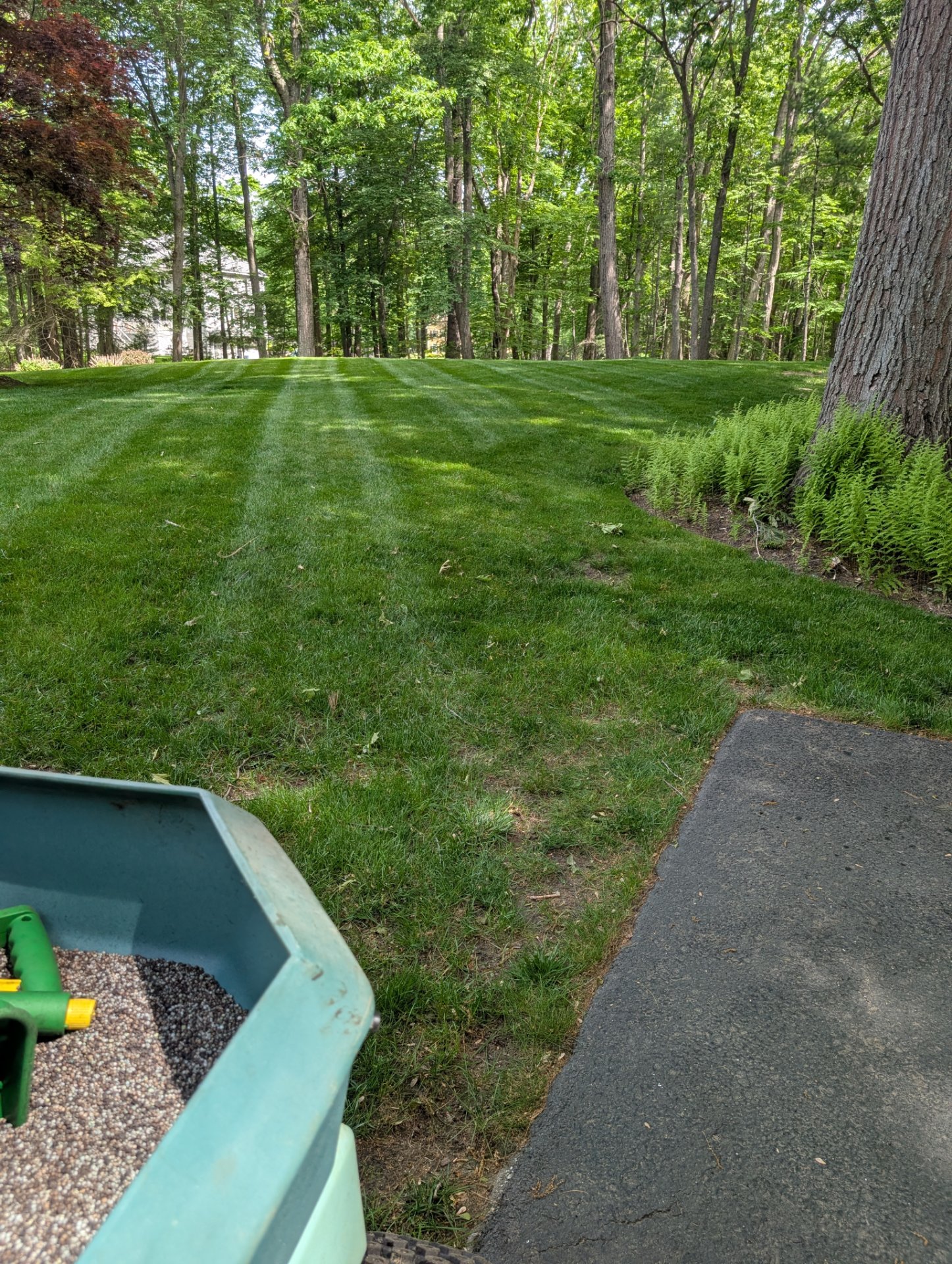 Eco-Lawn Tick and Mosquito, Lawn Services in Pittsfield, NH - photo 1