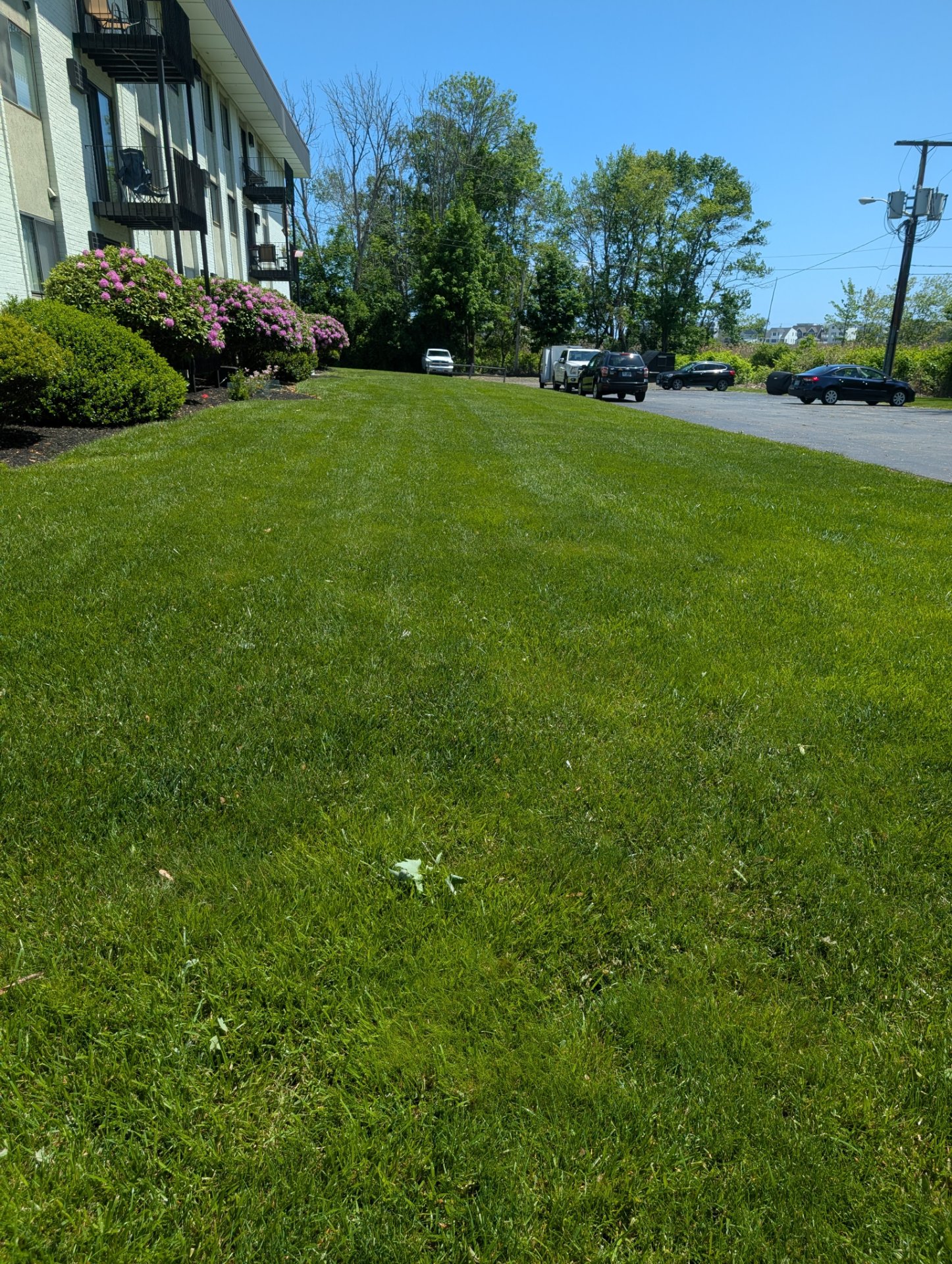 Eco-Lawn Tick and Mosquito, Lawn Services in Pittsfield, NH - photo 2
