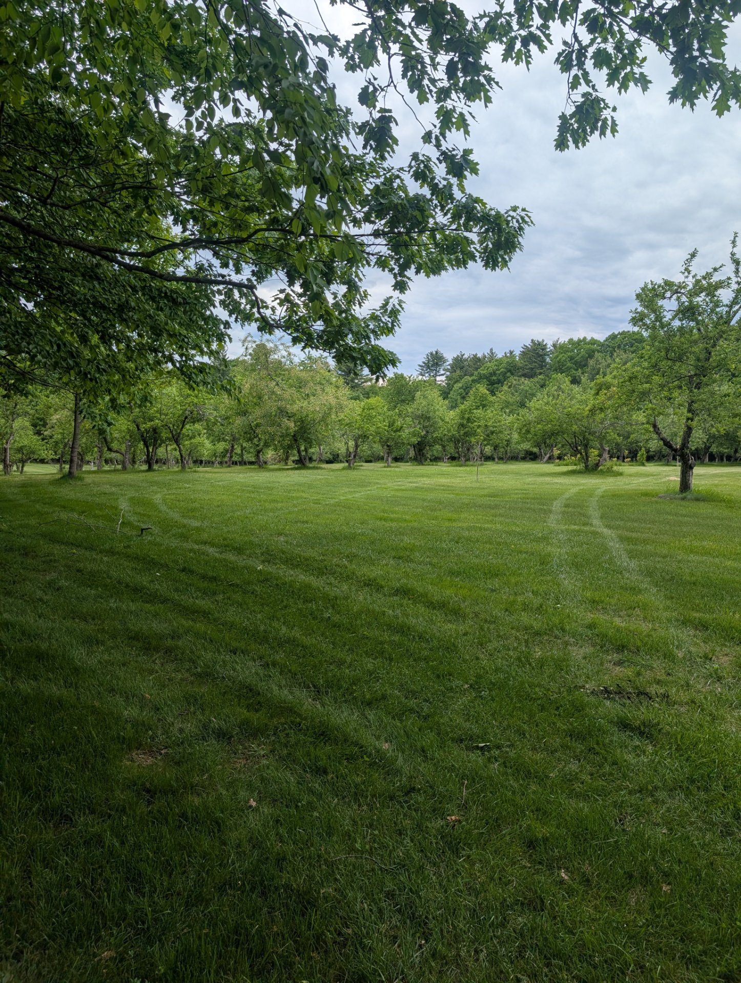 Eco-Lawn Tick and Mosquito, Lawn Services in Pittsfield, NH - photo 3