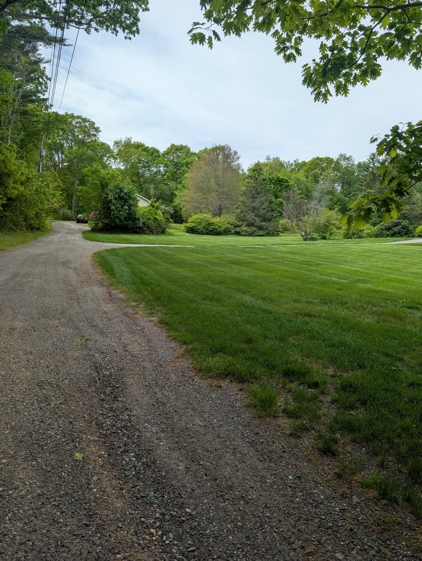 Eco-Lawn Tick and Mosquito, Lawn Services in Pittsfield, NH - photo 4