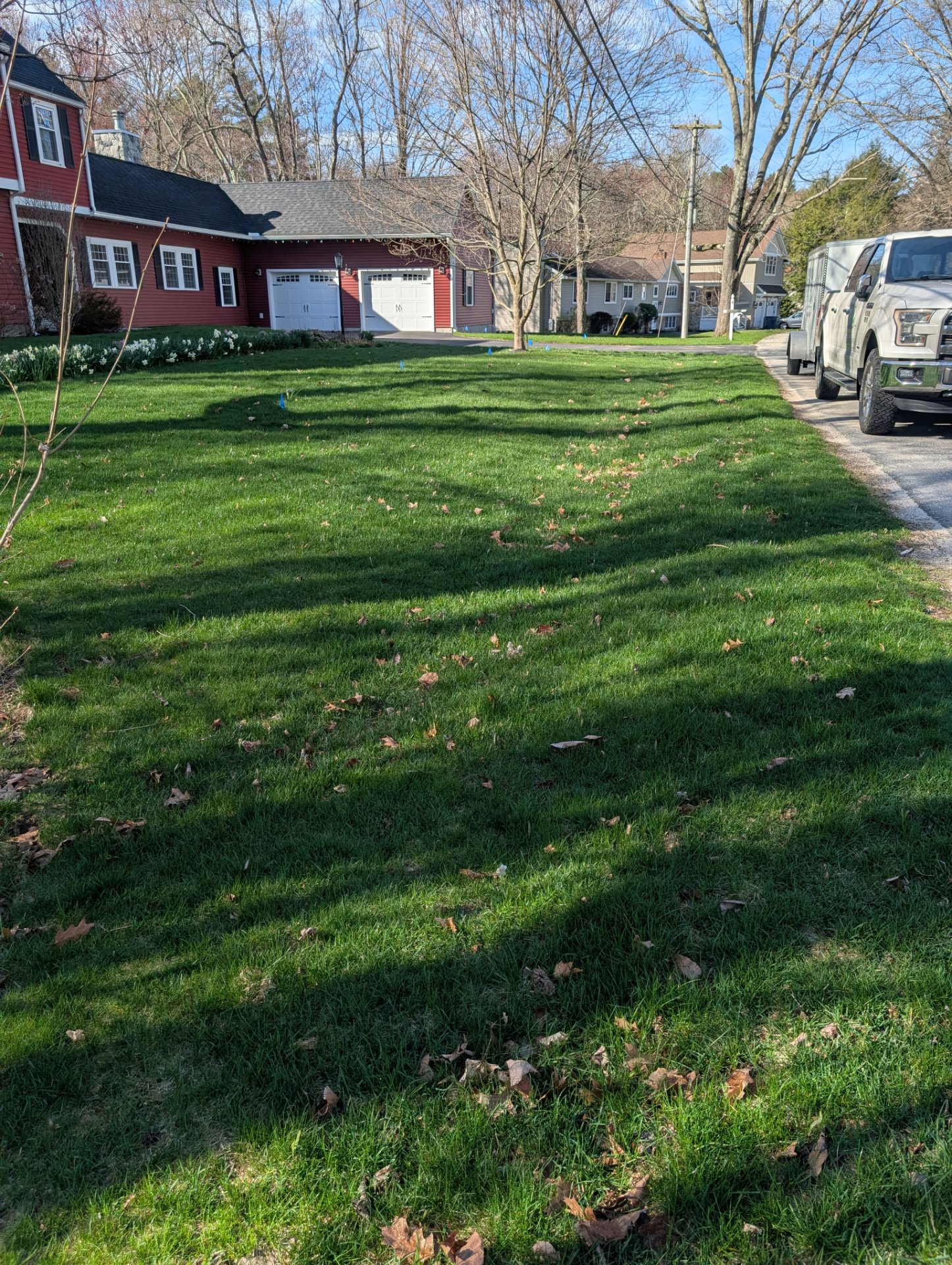 Eco-Lawn Tick and Mosquito, Lawn Services in Pittsfield, NH - photo 5