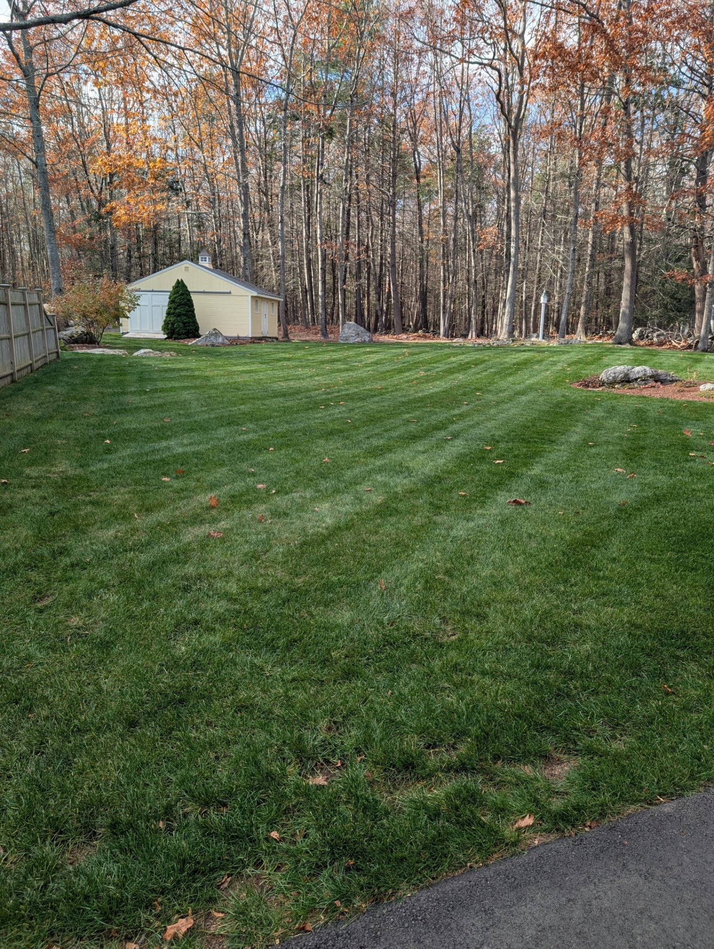 Eco-Lawn Tick and Mosquito, Lawn Services in Pittsfield, NH - photo 6