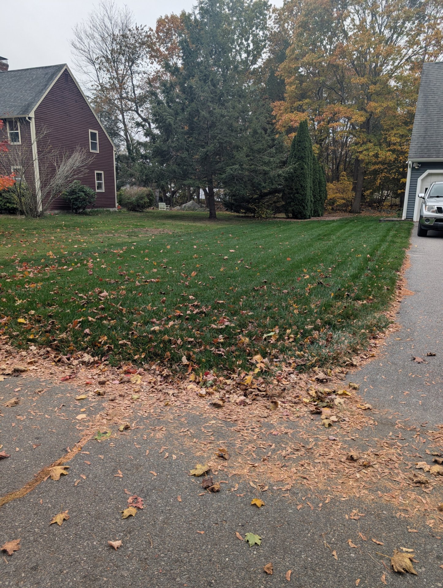 Eco-Lawn Tick and Mosquito, Lawn Services in Pittsfield, NH - photo 7