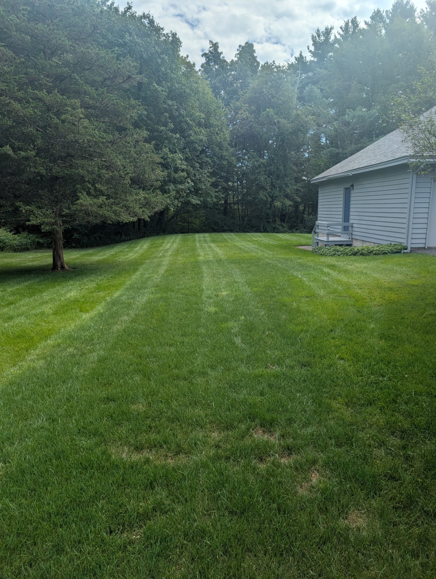 Eco-Lawn Tick and Mosquito, Lawn Services in Pittsfield, NH - photo 8