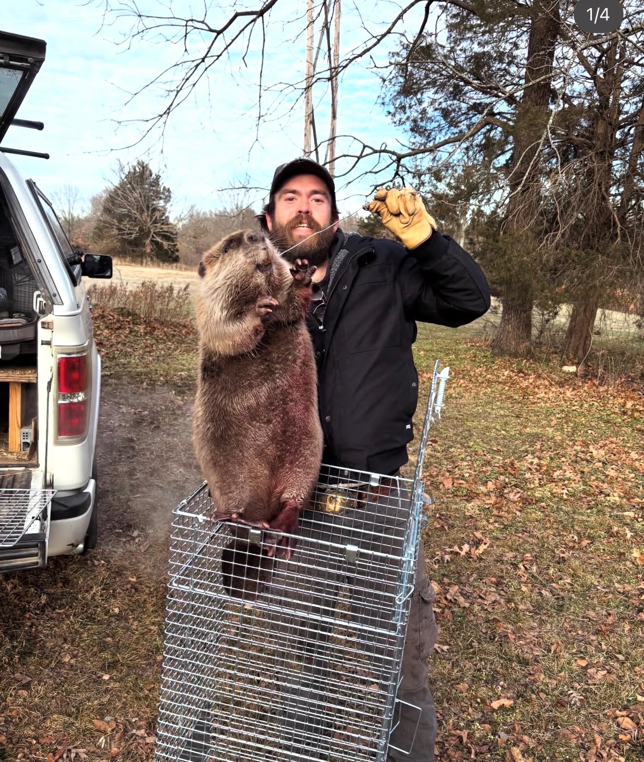 Zero Entry Wildlife Control, Wildlife Exclusion in Garfield, AR - photo 1