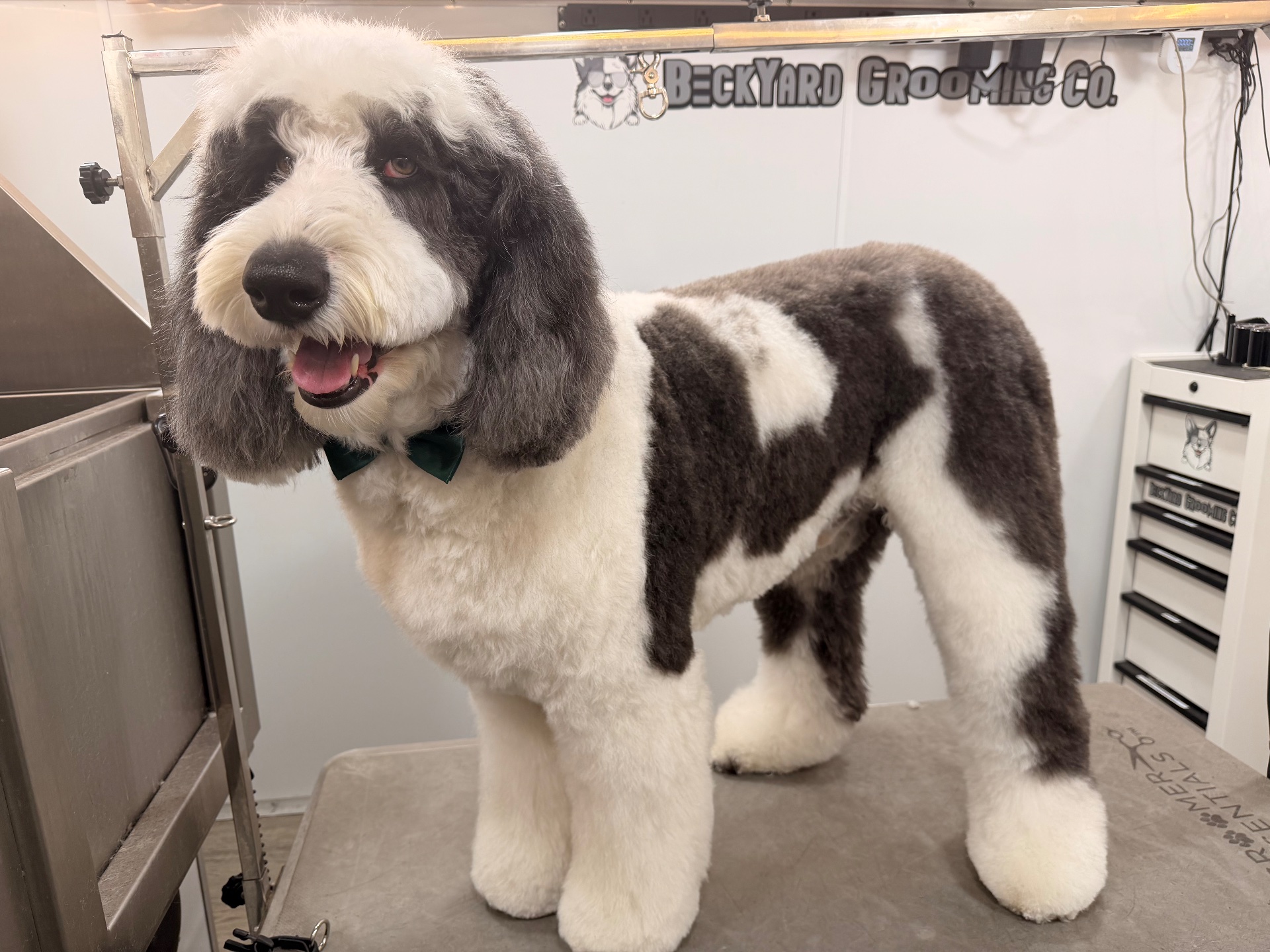 BeckYard Grooming Co., Pet Groomers in Rockwall, TX - photo 3