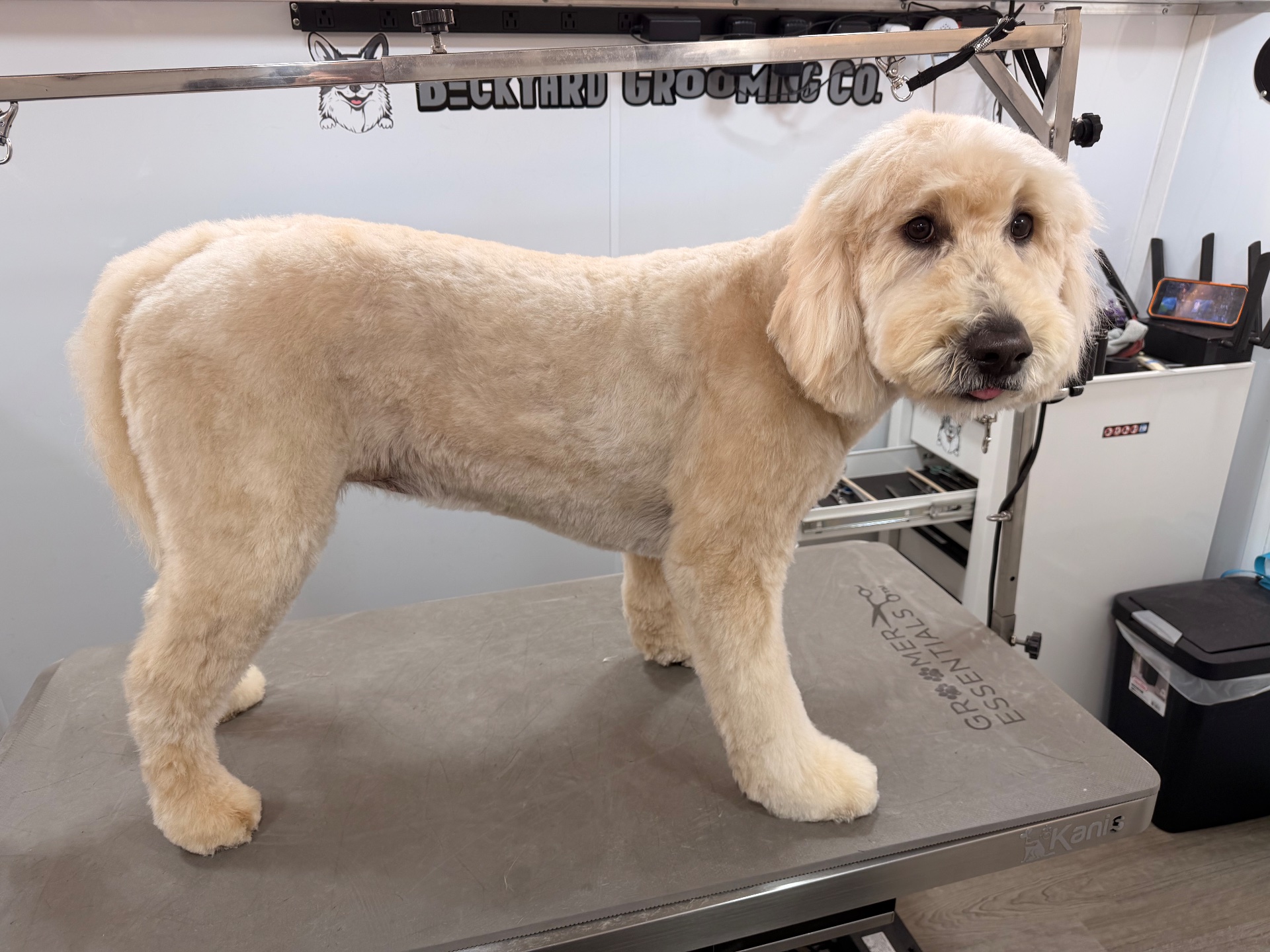BeckYard Grooming Co., Pet Groomers in Rockwall, TX - photo 5
