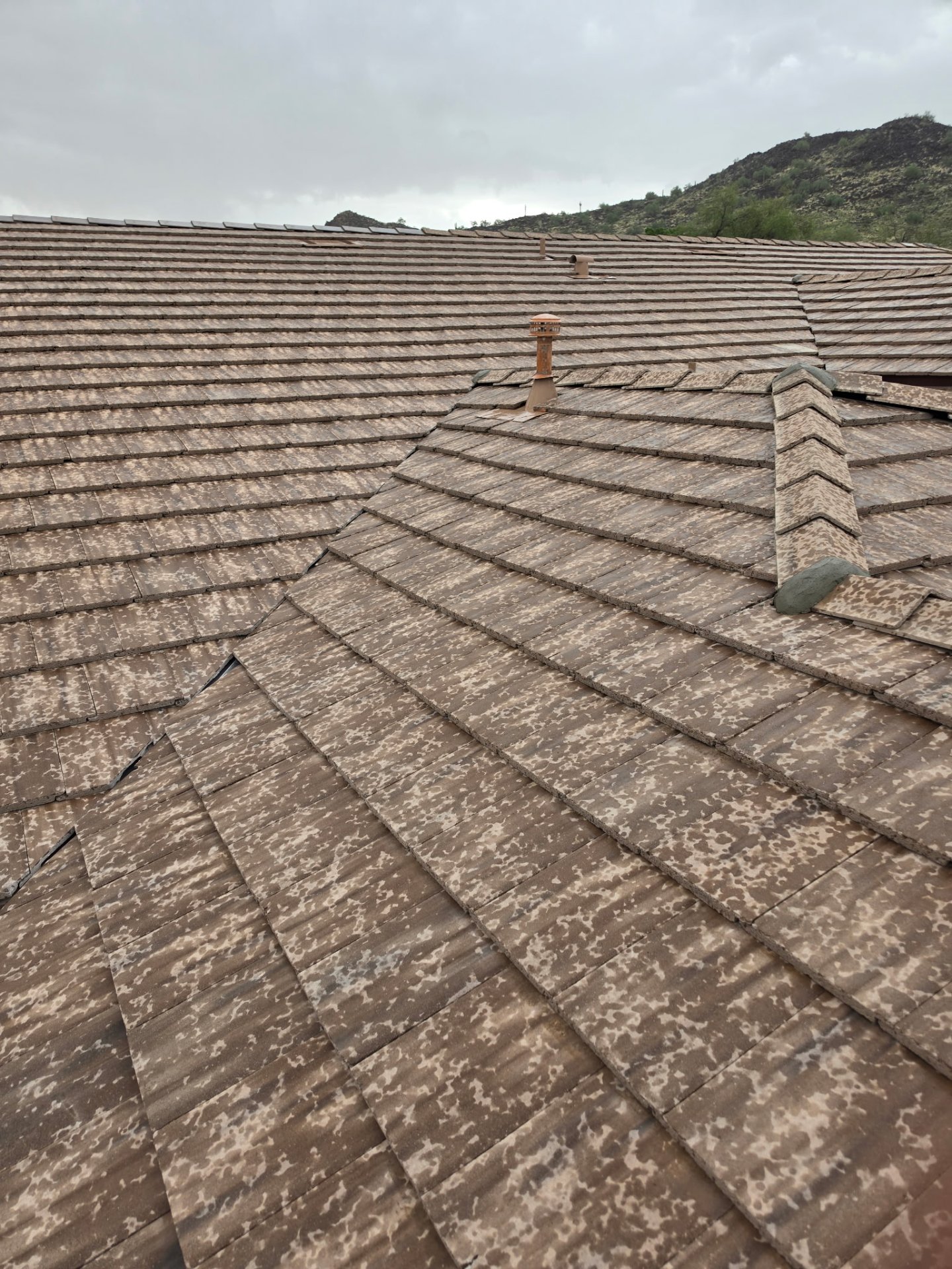 BlackHorse Roofing & Construction, LLC, Roof Installation or Replacement in Phoenix, AZ - photo 2