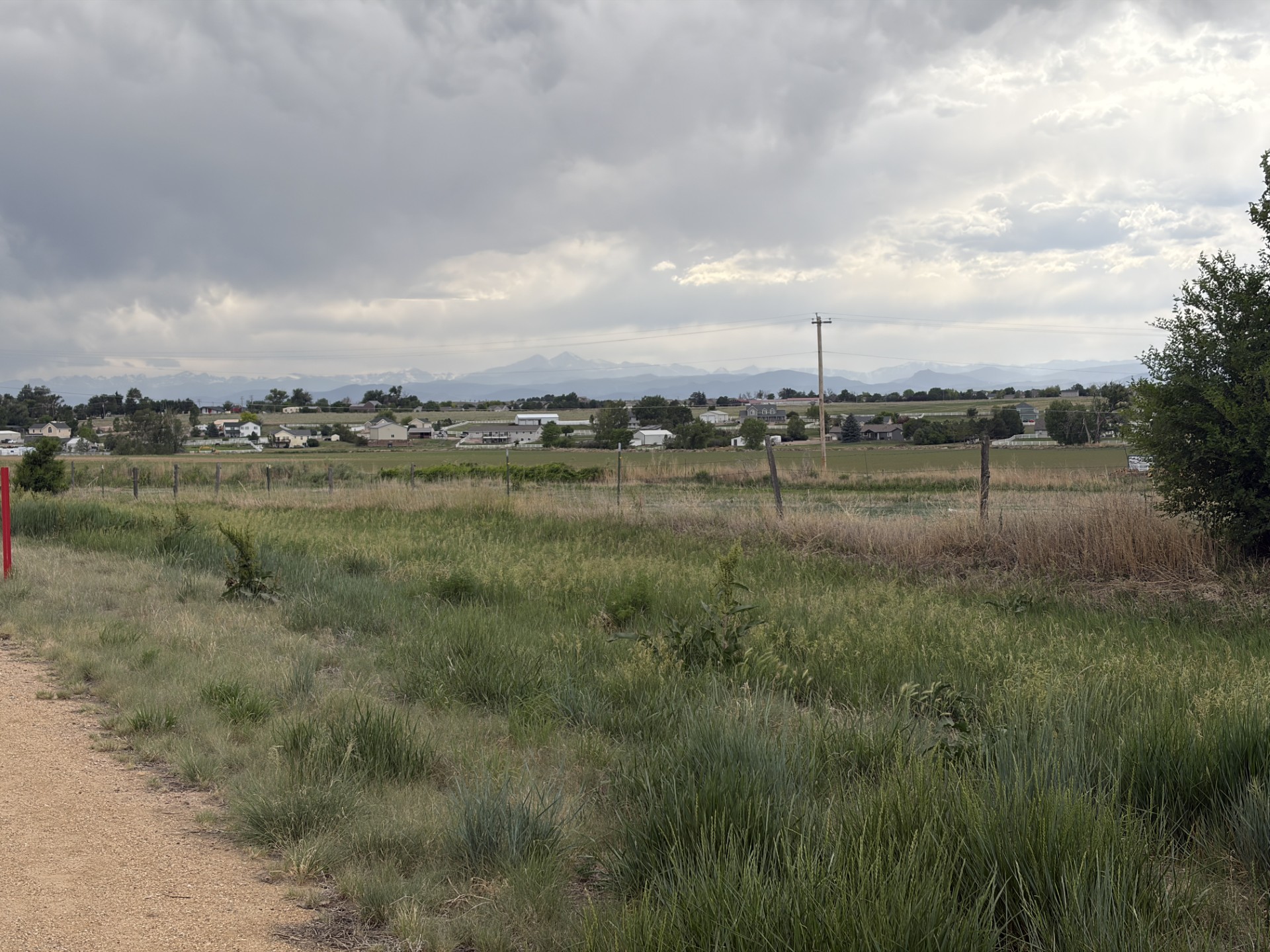 Jake Martin Insurance Agency LLC, Auto Insurance in Fort Collins, CO - photo 3