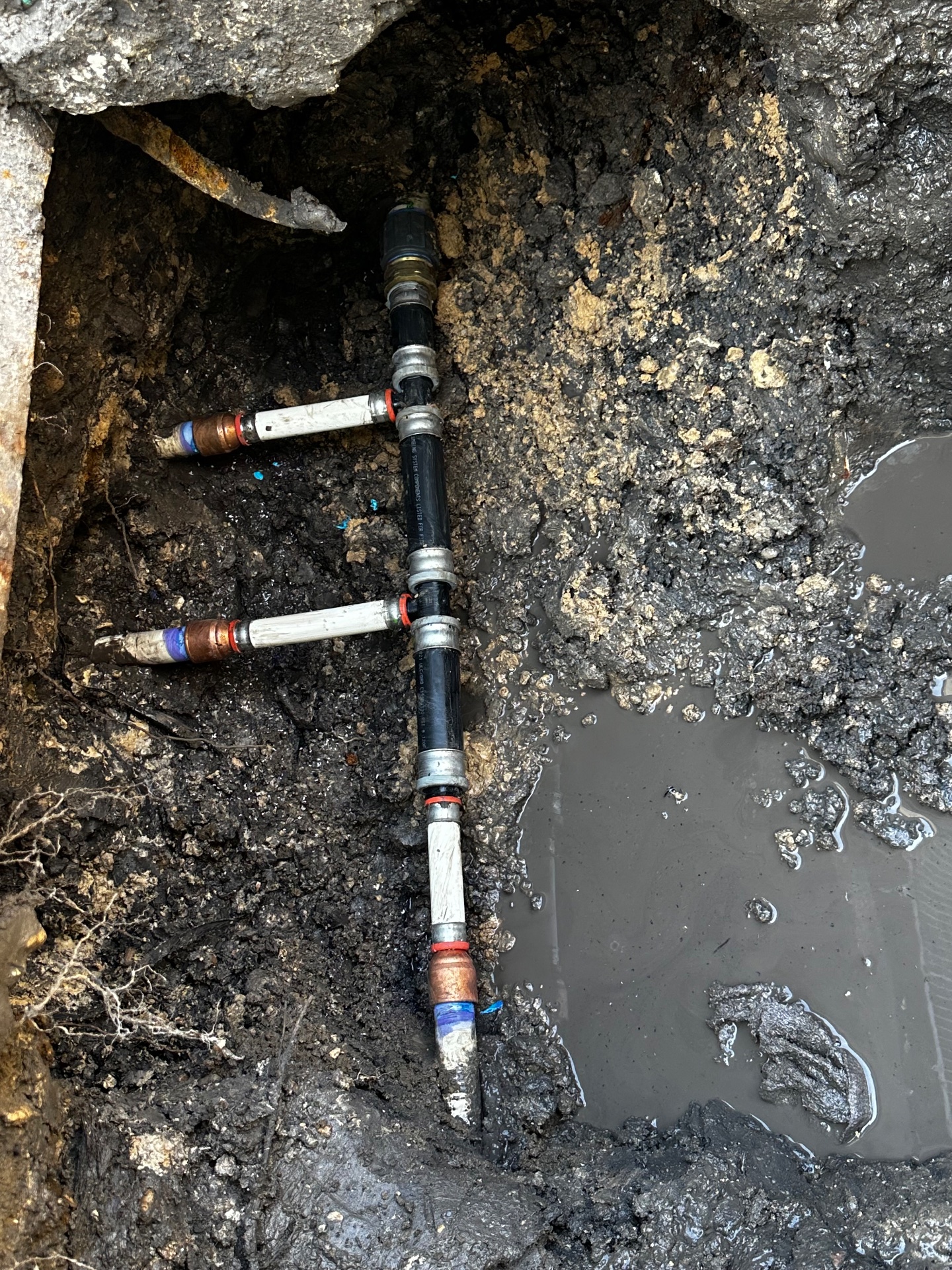 My Throne Plumbing, Plumbing Drain Repair in San Antonio , TX - photo 2