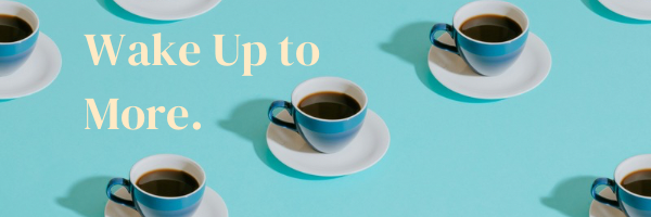 Wild House Coffee cover photo