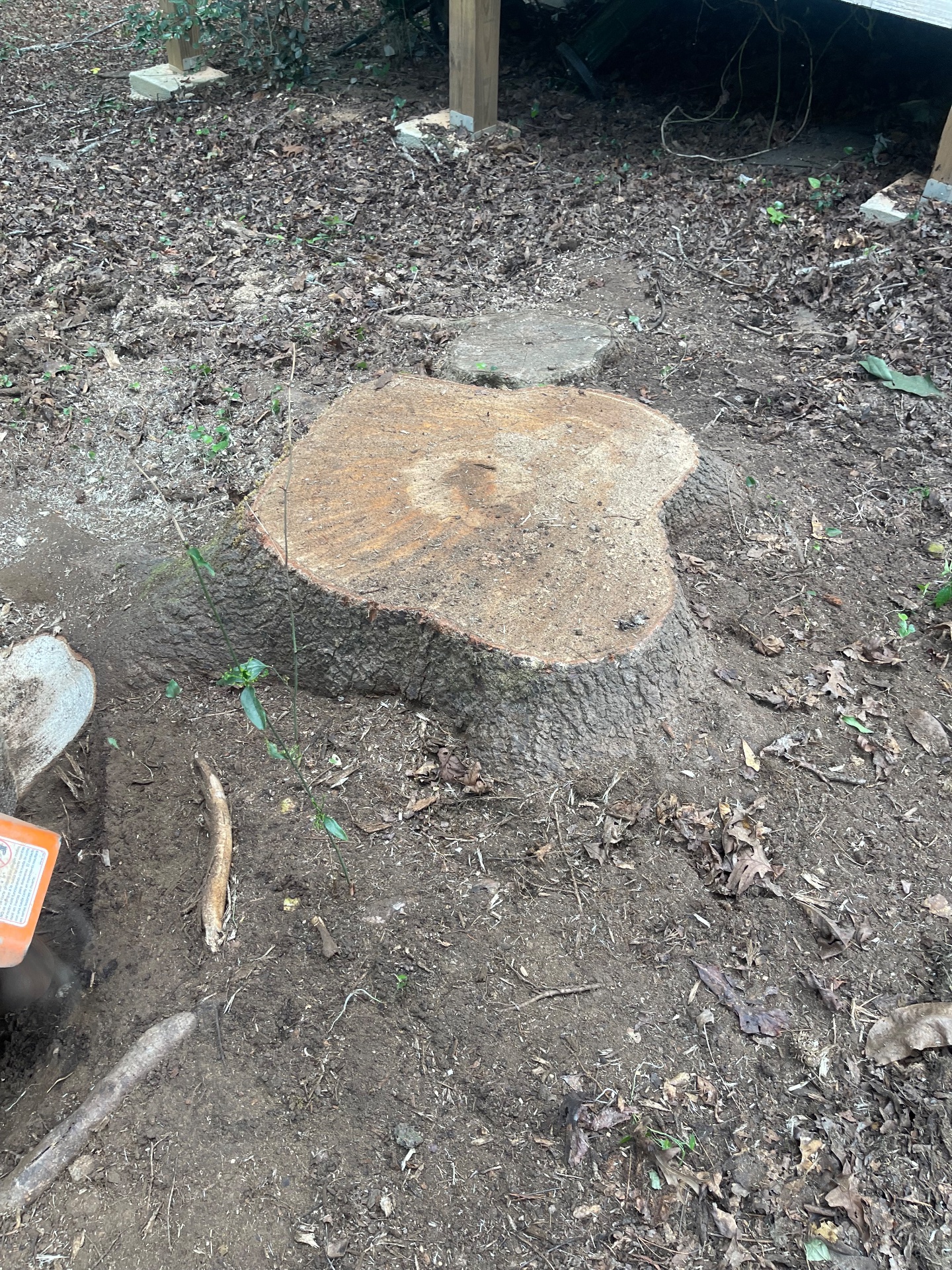 Black Diamond Stump & Land Pros, Tree Stump Grinding and Removal in Crawford, GA - photo 3