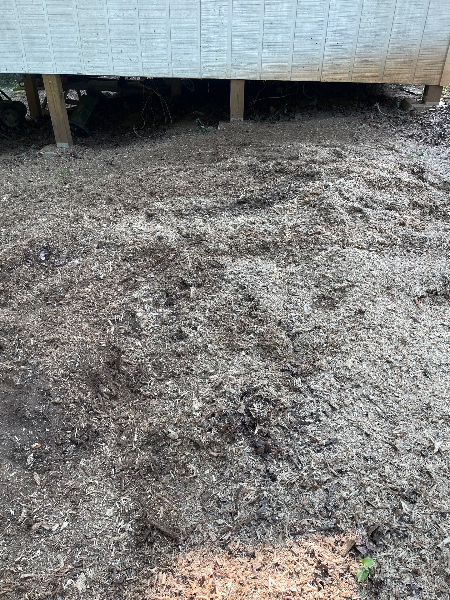 Black Diamond Stump & Land Pros, Tree Stump Grinding and Removal in Crawford, GA - photo 4