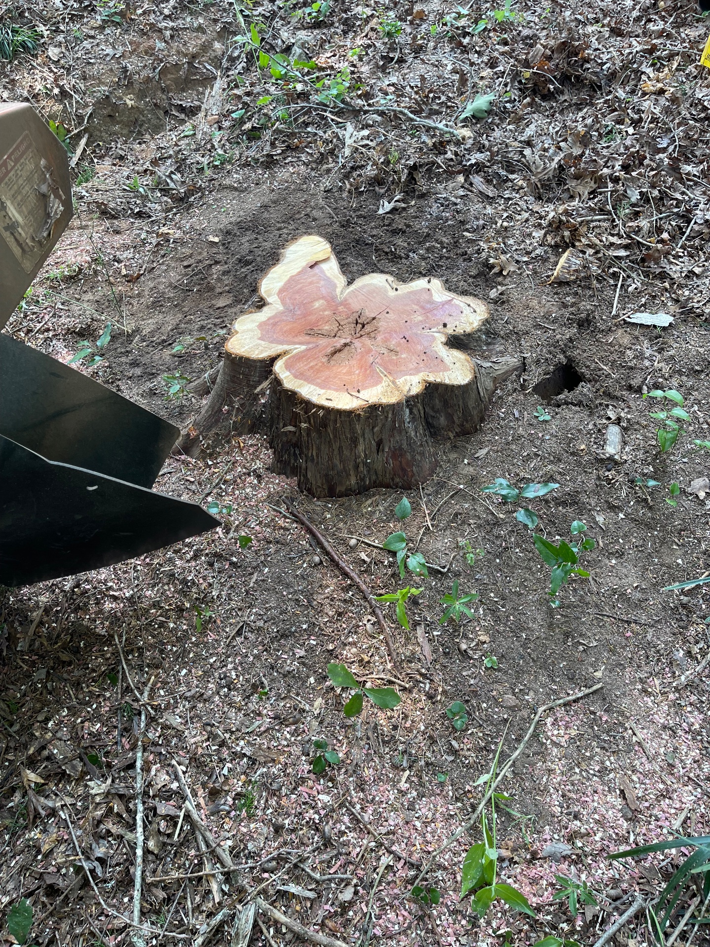 Black Diamond Stump & Land Pros, Tree Stump Grinding and Removal in Crawford, GA - photo 7