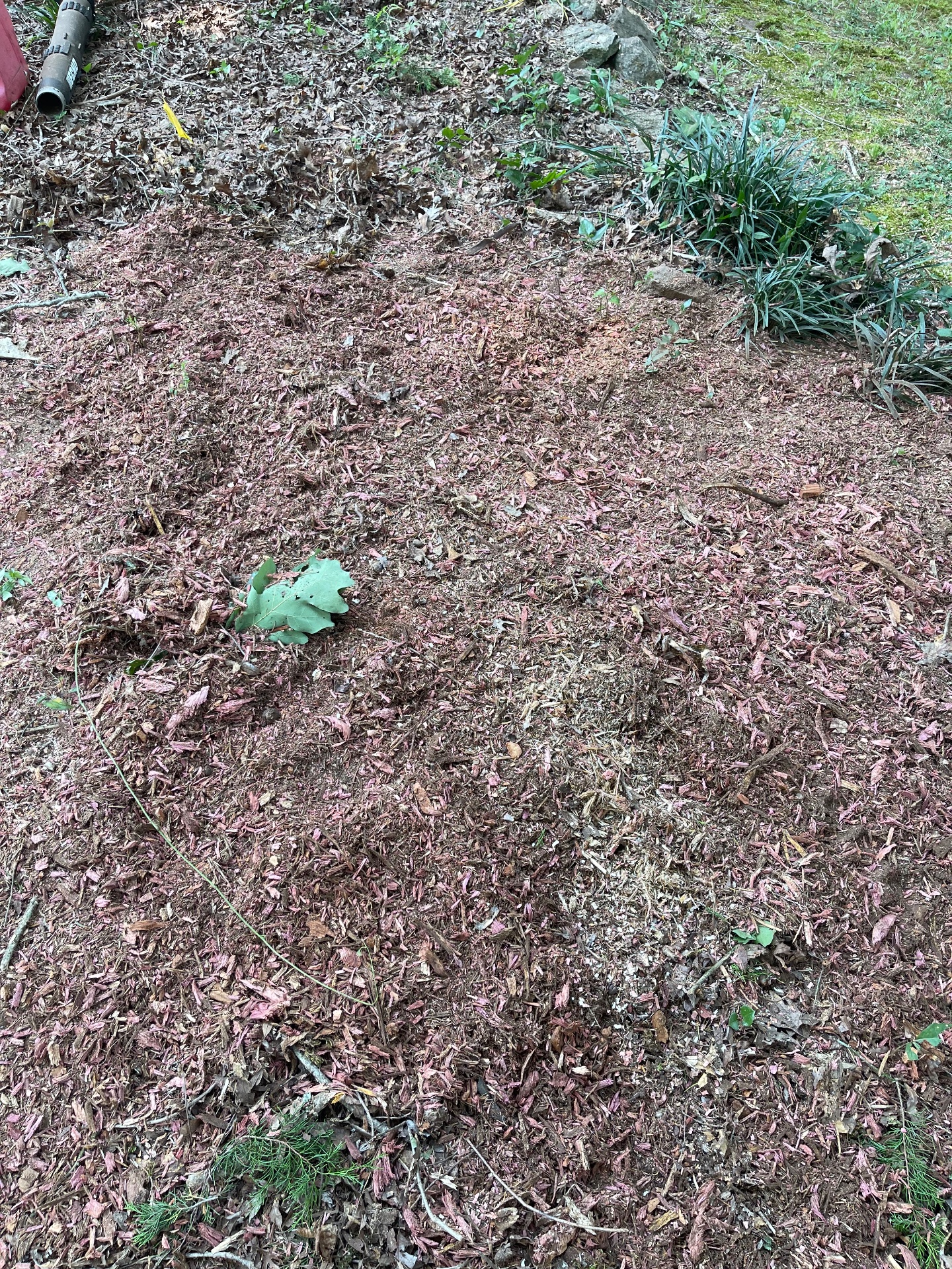 Black Diamond Stump & Land Pros, Tree Stump Grinding and Removal in Crawford, GA - photo 8