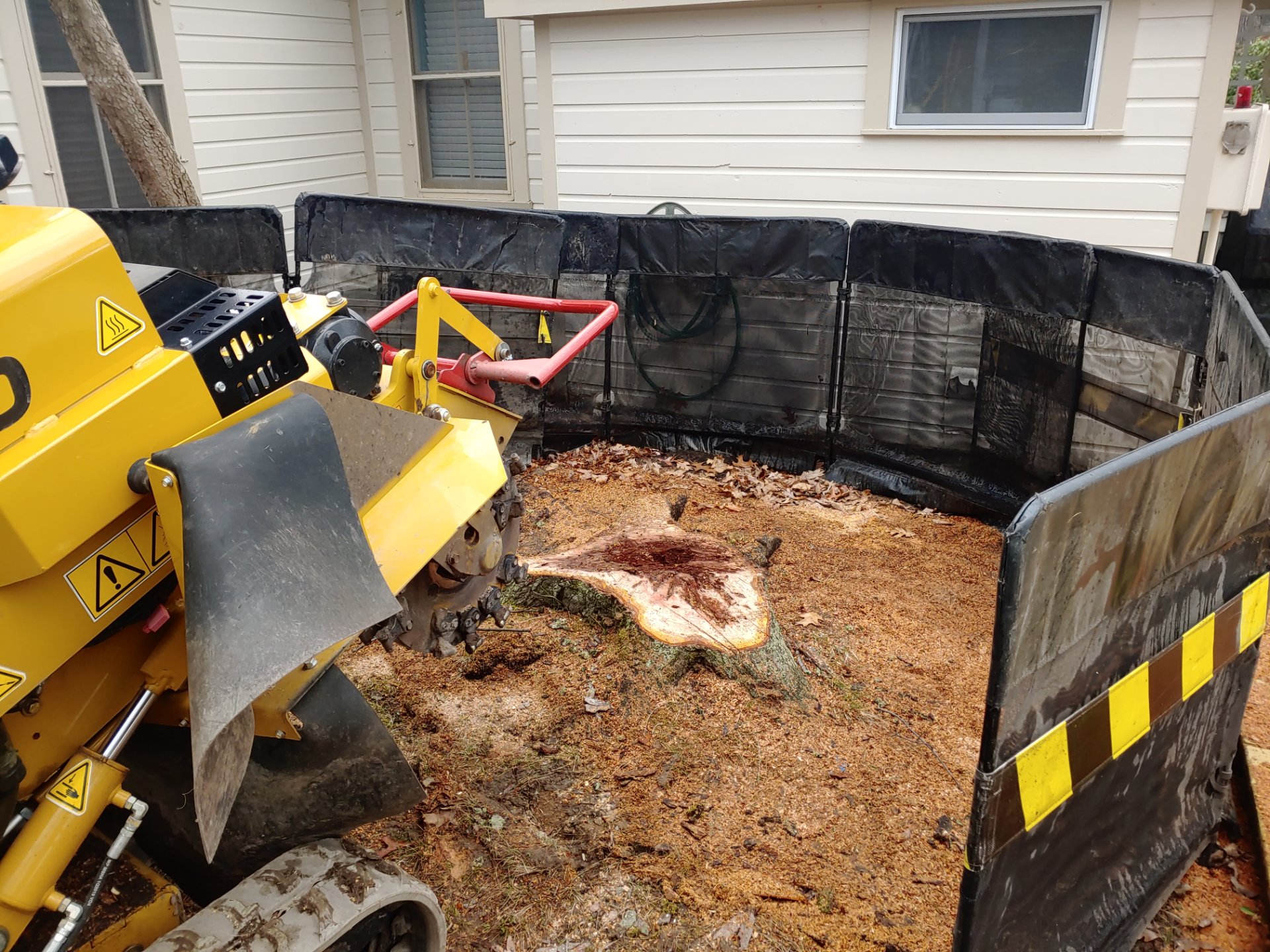 Treeman Tom LLC, Tree Services in Wilson, NY - photo 1