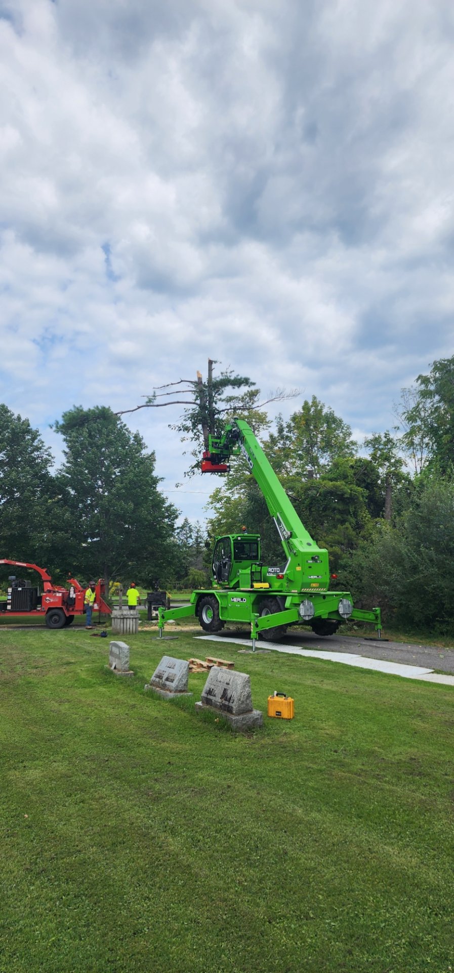 Treeman Tom LLC, Tree Services in Wilson, NY - photo 4