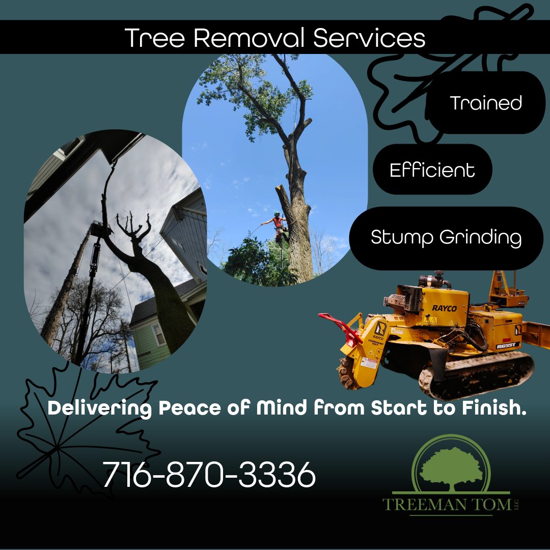 Treeman Tom LLC, Tree Services in Wilson, NY - photo 7
