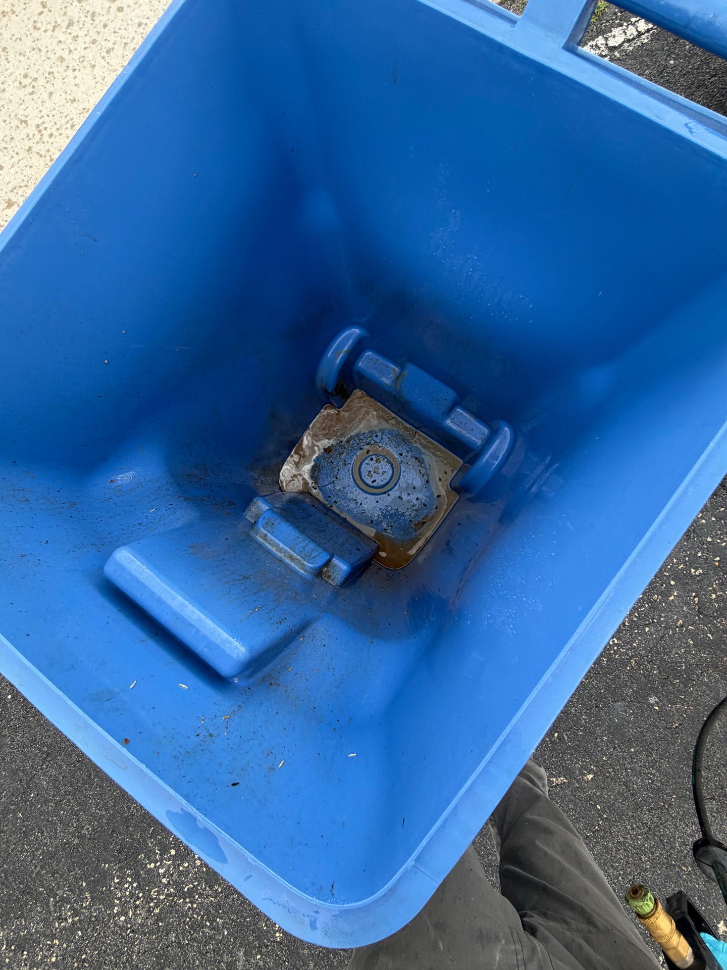 Sudzybinz, Dumpster Cleaning in Orange City, FL - photo 2