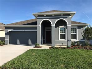 Tim MacNab Realtor, Realty One Group Advantage, Buyer's Agents in Lutz, FL - photo 6