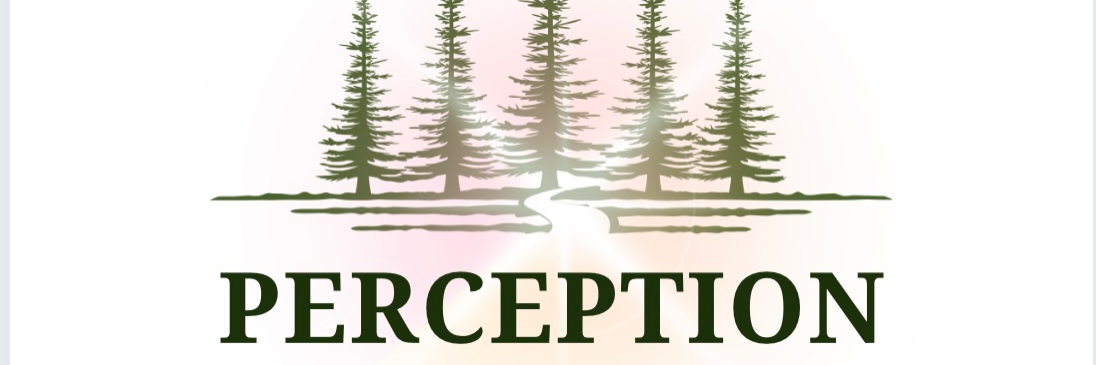Perception Life Coaching cover photo