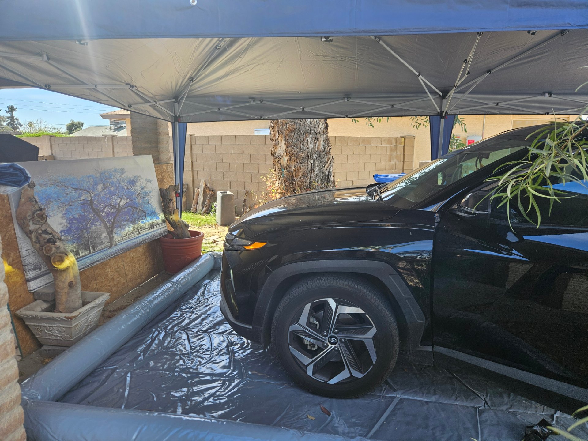Christian Car Detailing, Car Wash in Phoenix, AZ - photo 2