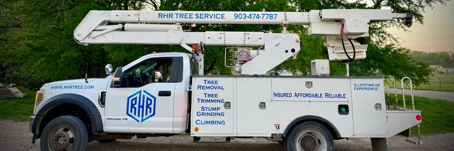 RHR Tree Service cover photo