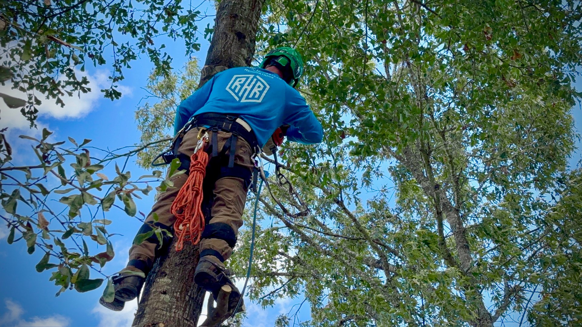 RHR Tree Service, Tree Services in Point, TX - photo 1