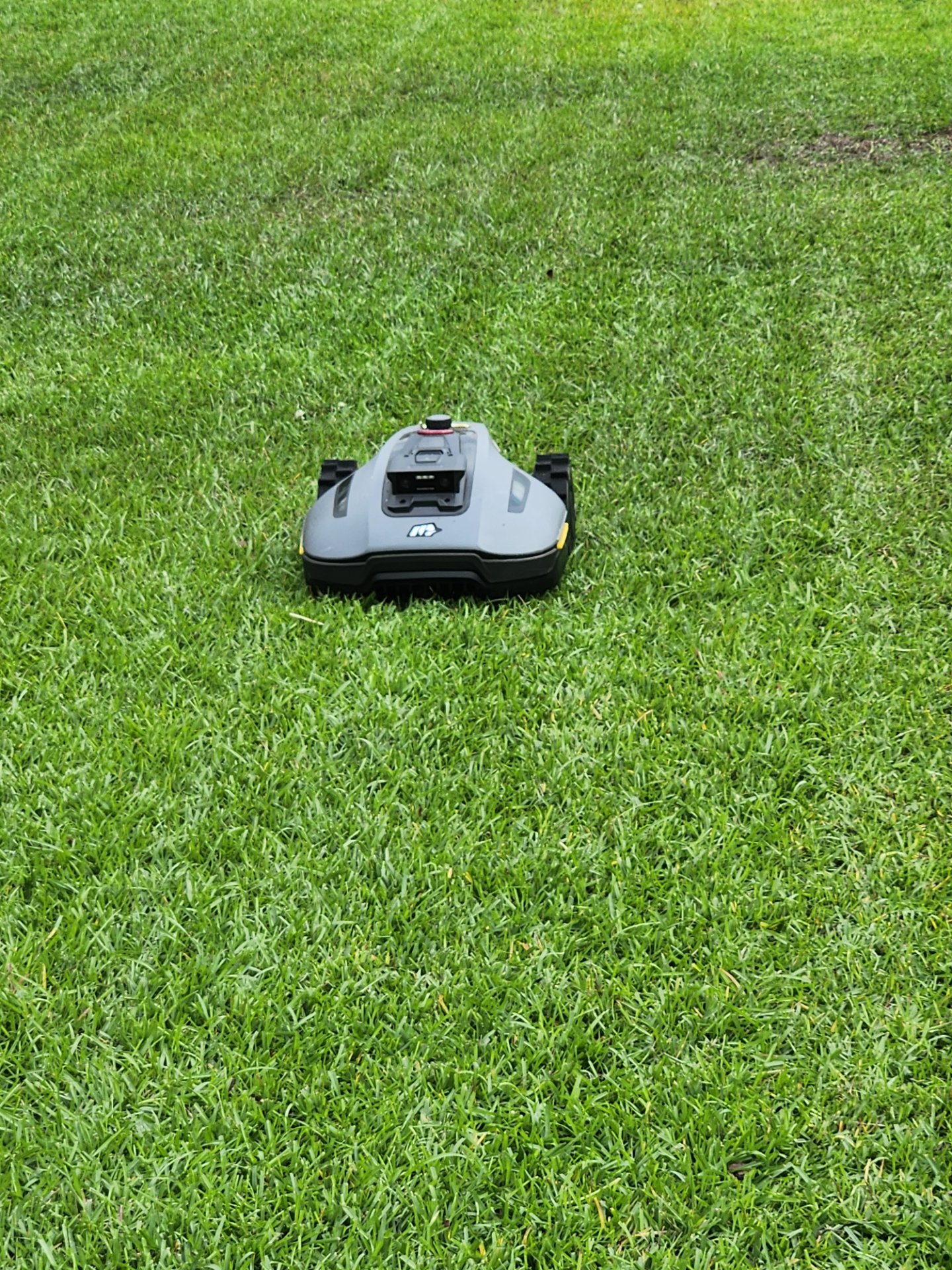 Charleston Clean Air Lawn Care, Lawn Mowing and Trimming in Charleston , SC - photo 4
