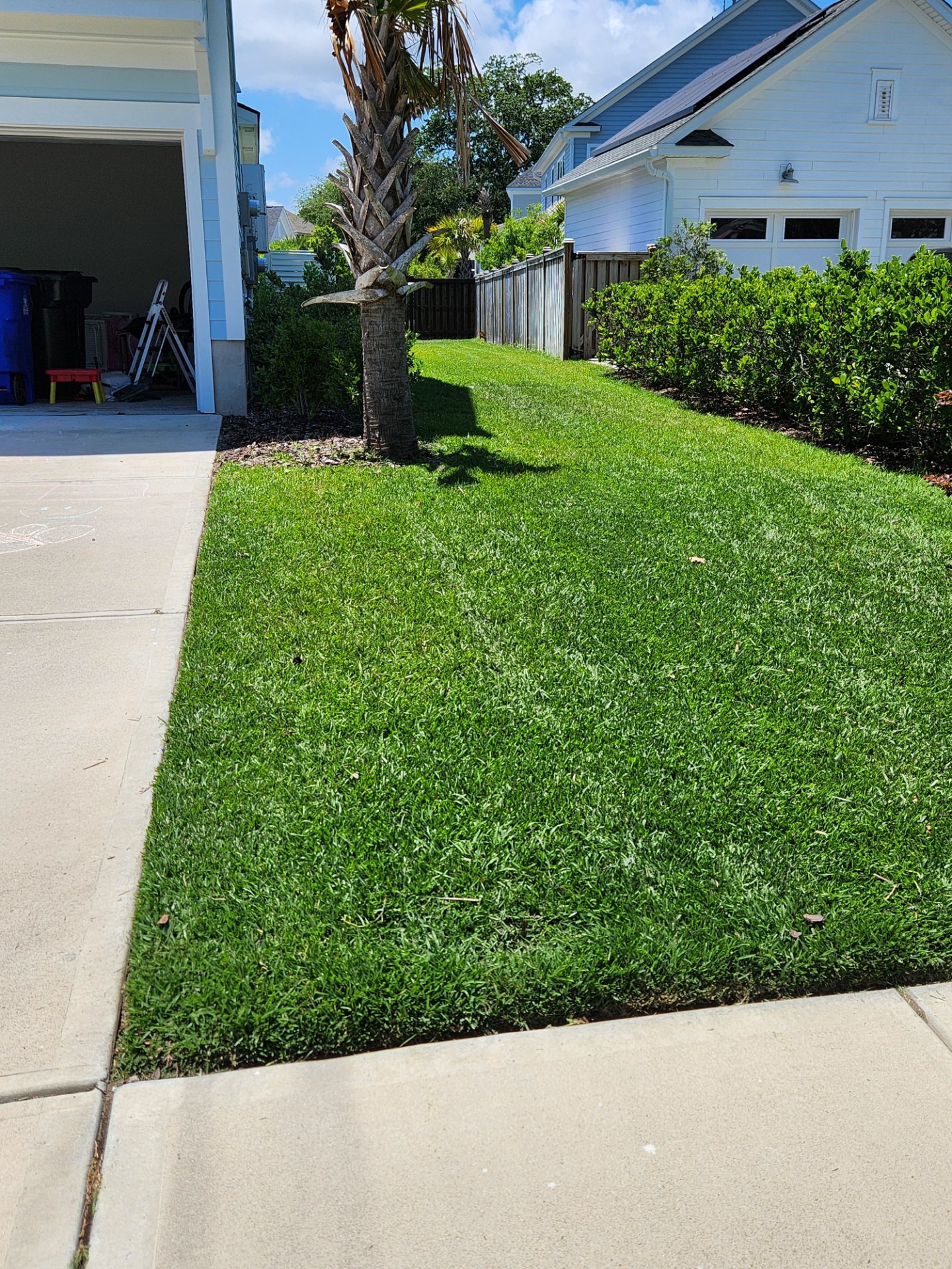 Charleston Clean Air Lawn Care, Lawn Mowing and Trimming in Charleston , SC - photo 5