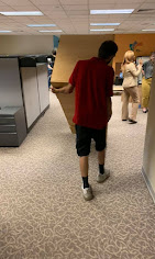MOVE IT ALL, Moving & Relocation Organization in Orlando, FL - photo 5