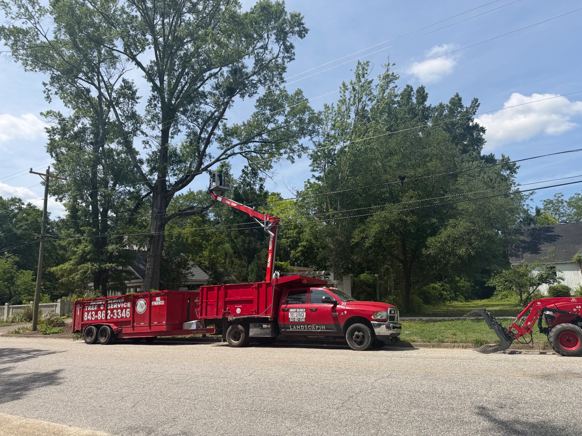 Angry Beaver Tree Service, Tree Services in Bennettsville, SC - photo 6