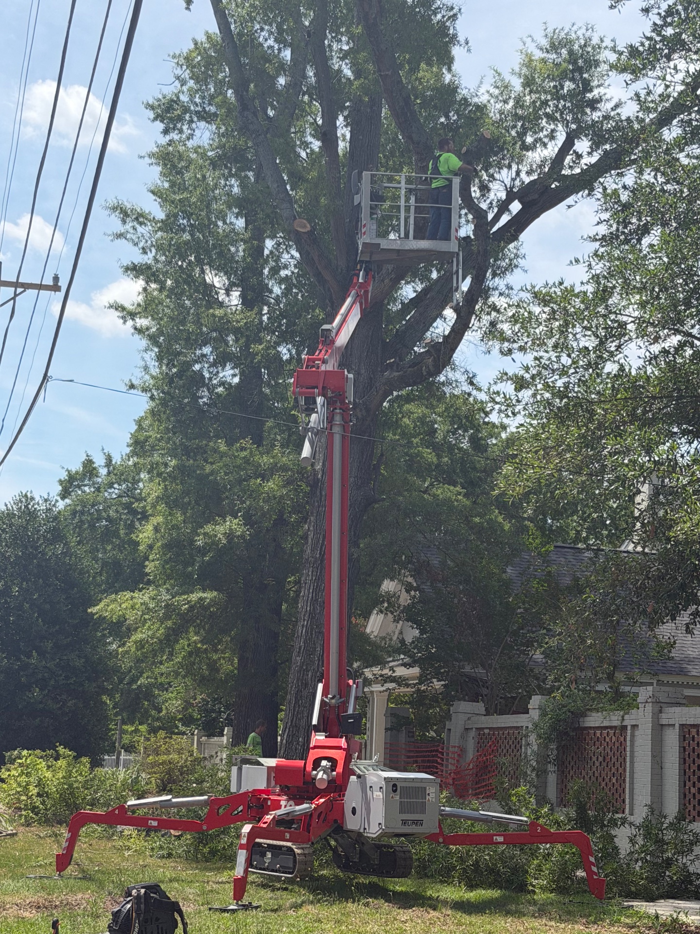 Angry Beaver Tree Service, Tree Services in Bennettsville, SC - photo 8