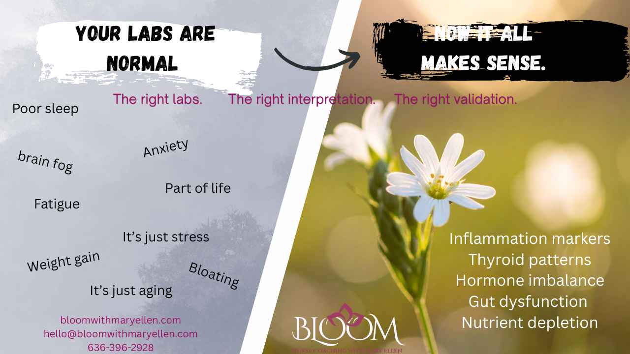 Bloom Nurse Coaching with Mary Ellen, Health and Wellness Coaching in Hillsboro , MO - photo 5