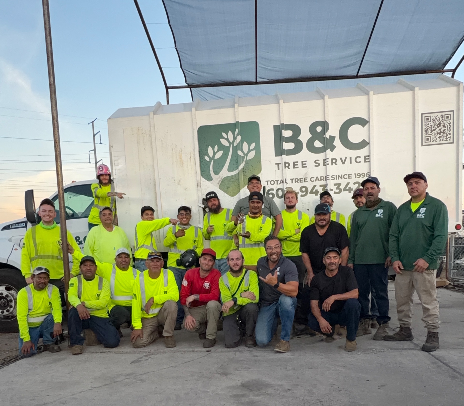 B&C Tree Service, Tree Planting in Scottsdale, AZ - photo 4