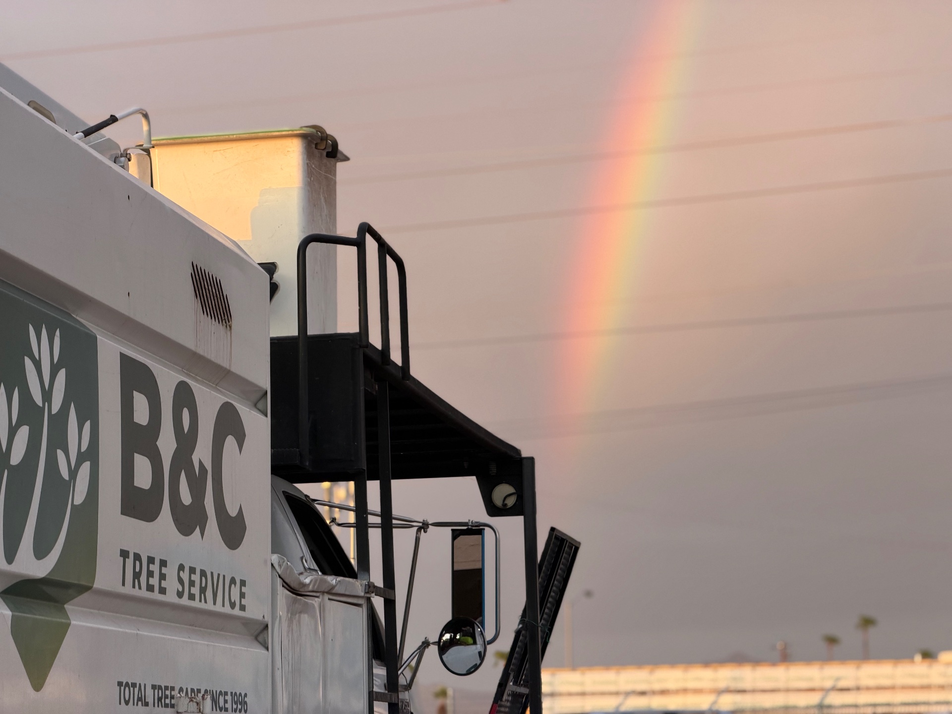 B&C Tree Service, Tree Planting in Scottsdale, AZ - photo 5