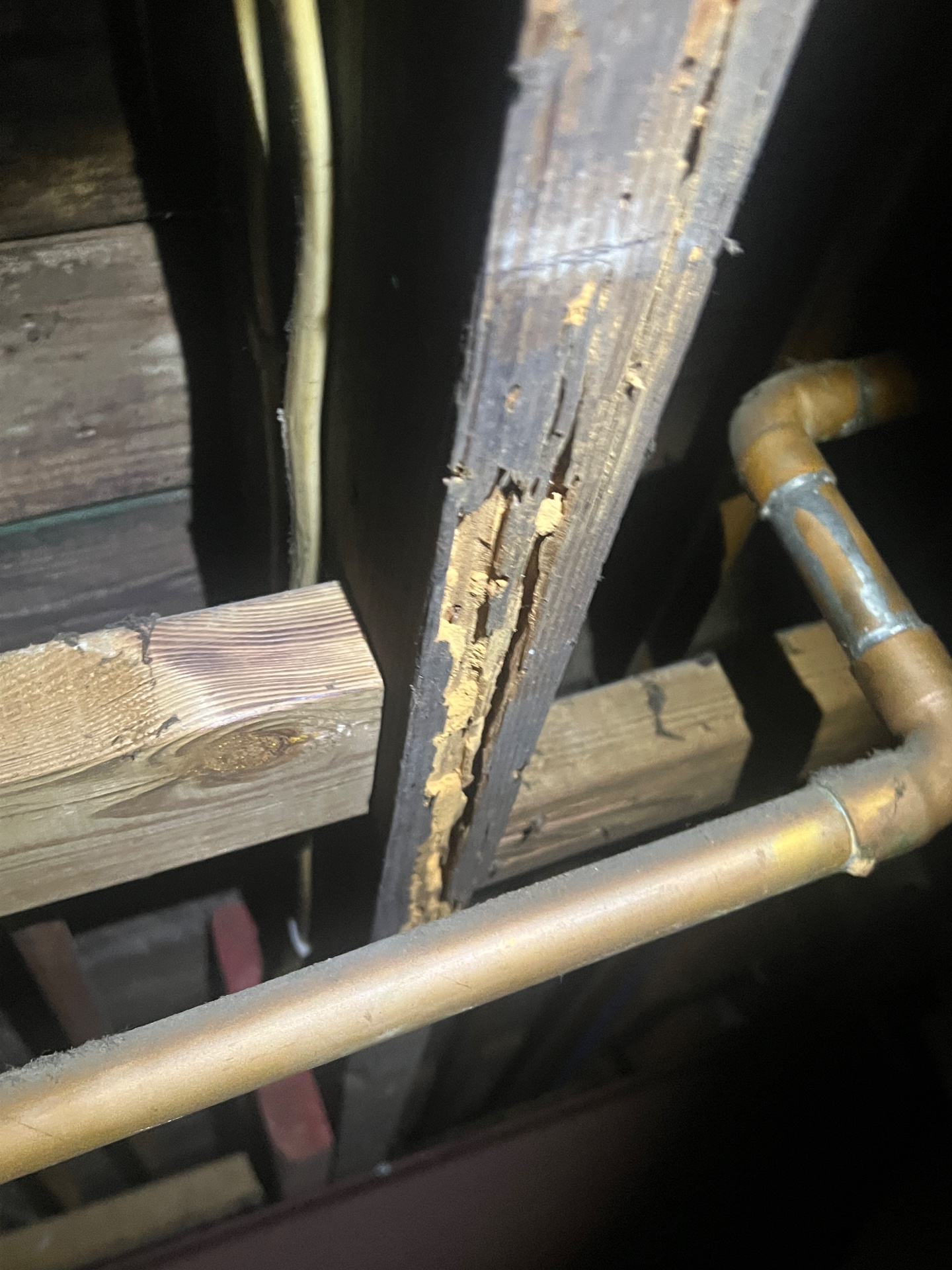 Xaida Inspections, Home Inspection in Warrington, PA - photo 6