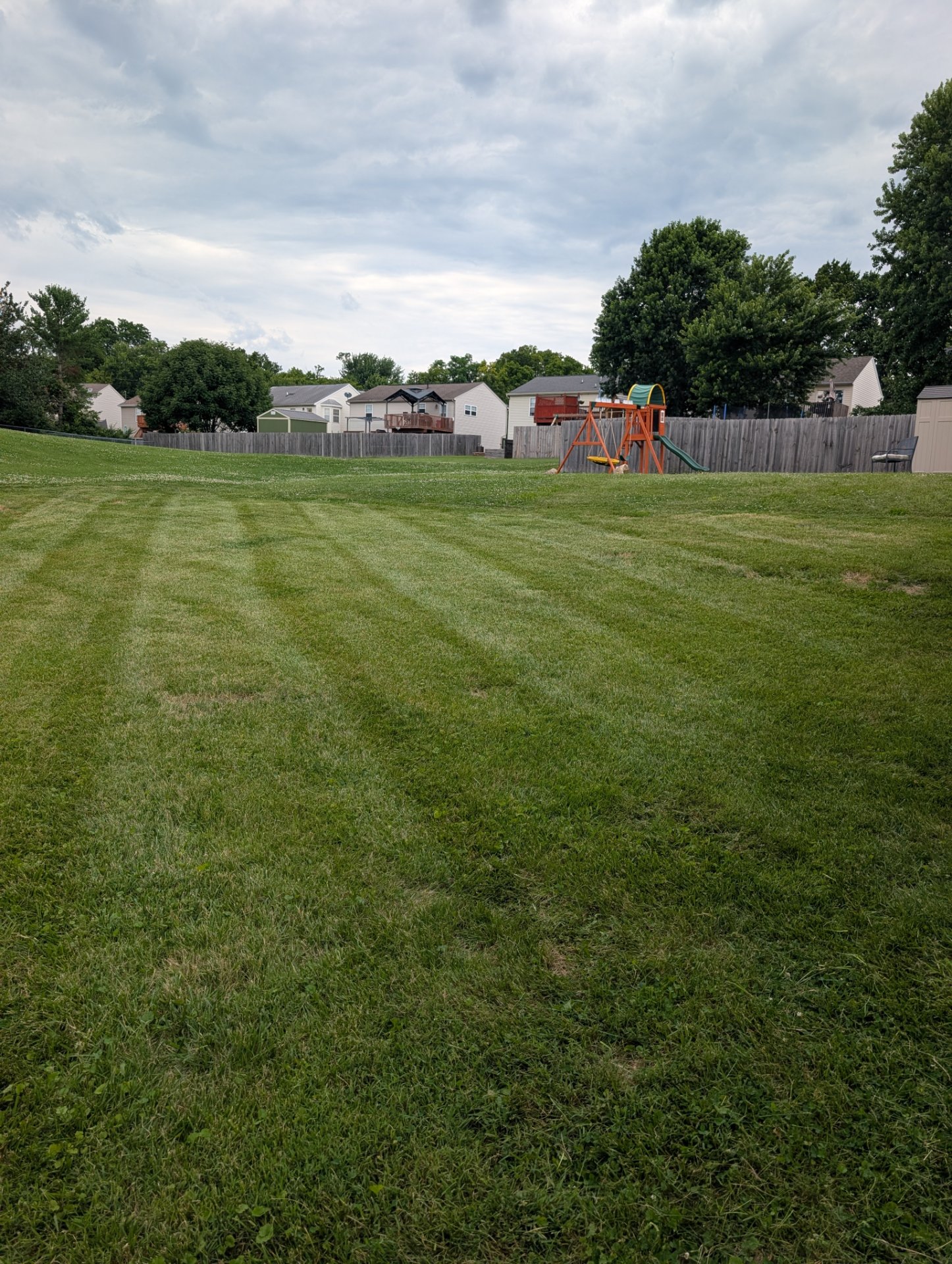 Dees Landscapes and hardscapes, Landscape Architects or Designers in Alexandria, KY - photo 5