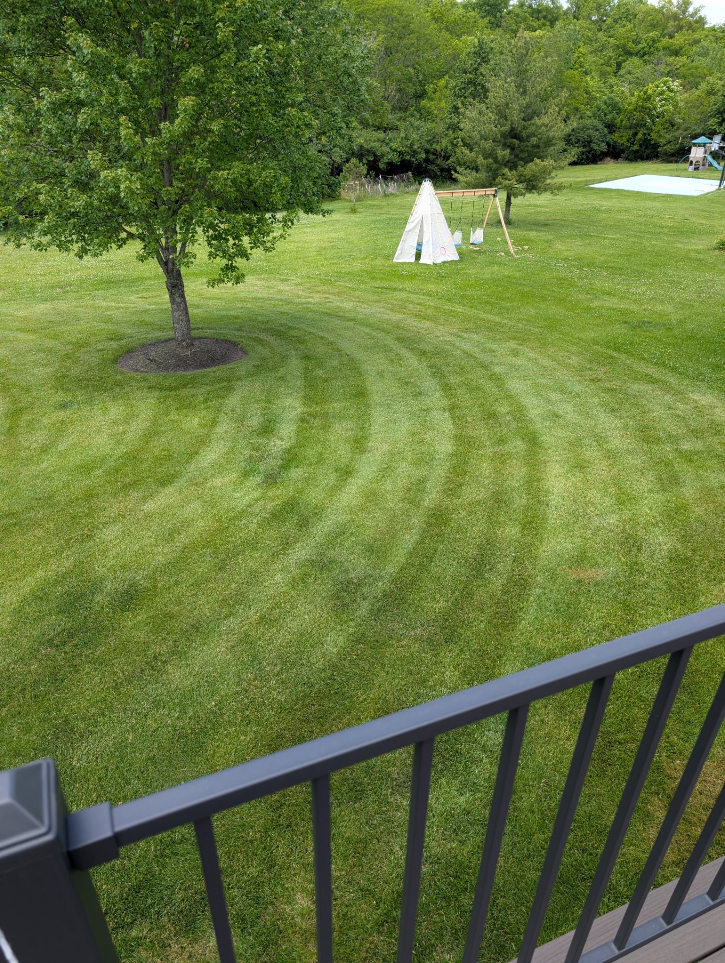 Dees Landscapes and hardscapes, Landscape Architects or Designers in Alexandria, KY - photo 8