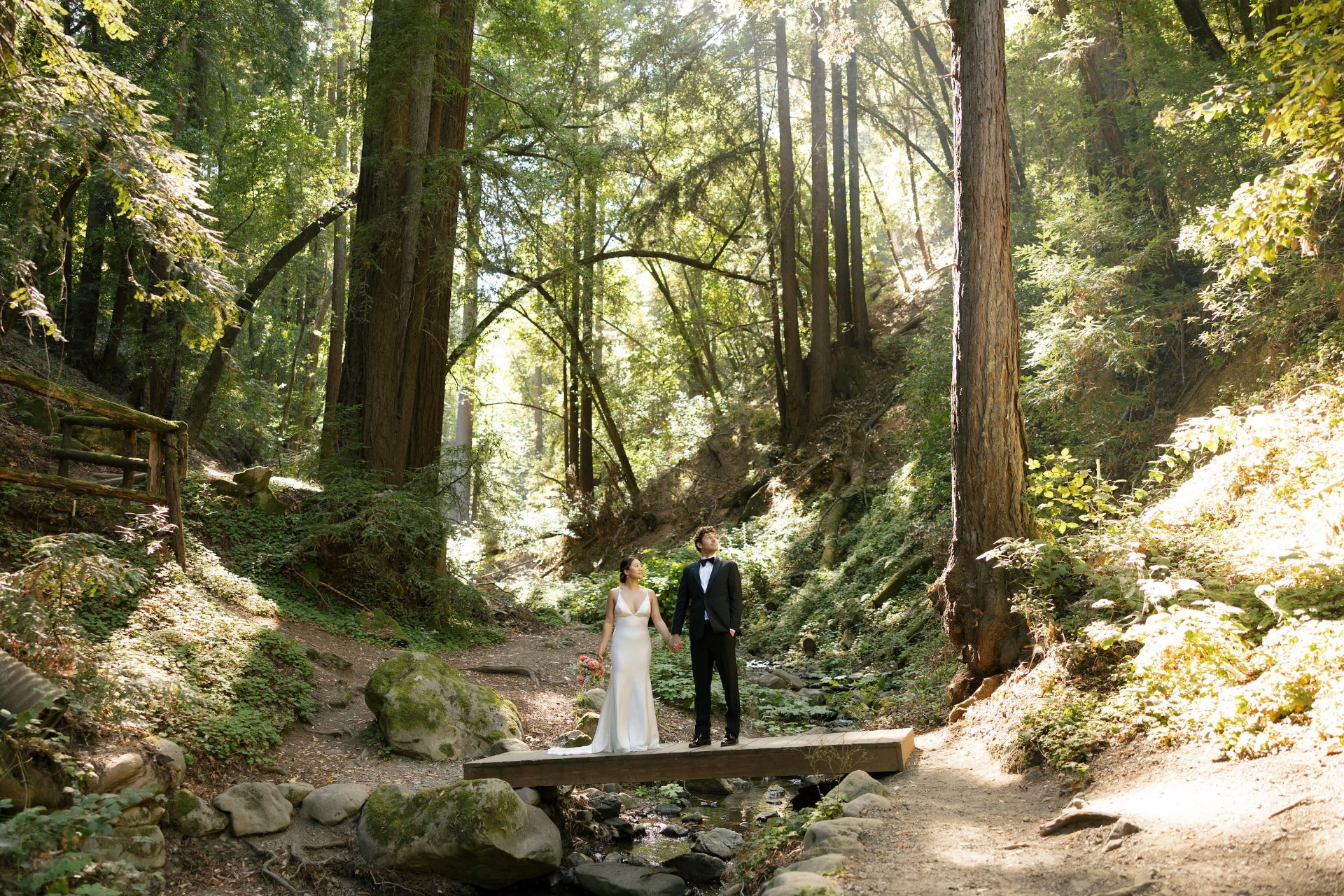 Rose Freedman Photography, Wedding and Event Photography in San Pablo, CA - photo 3