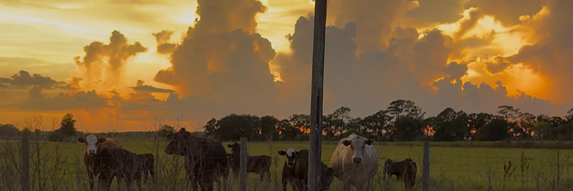 Bo McGee’s Tractor Service cover photo