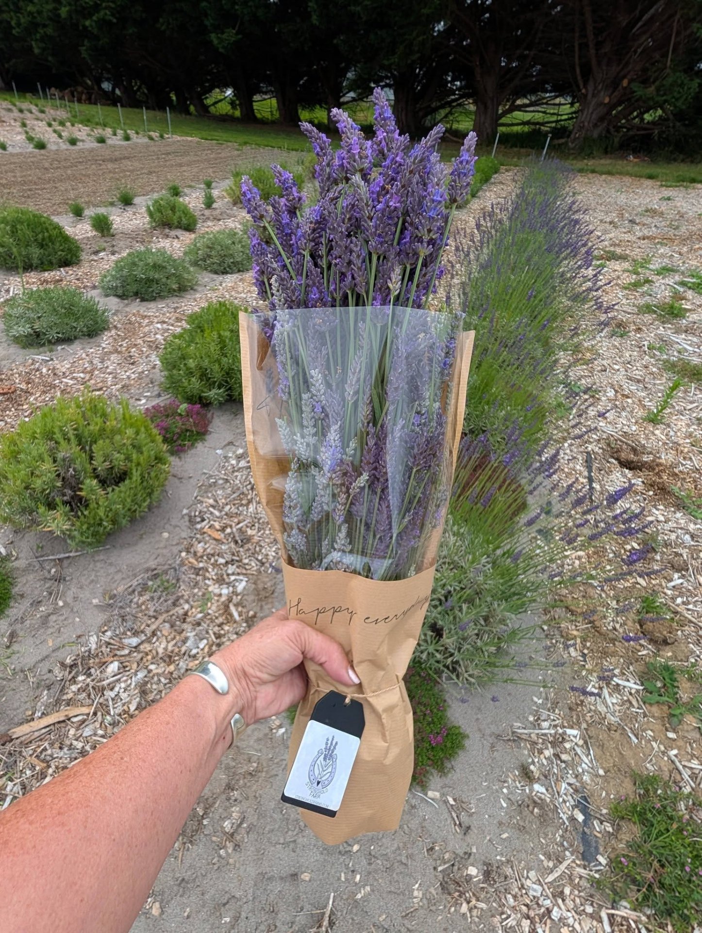STRONGHOLD Lavender Farm, Gardeners in Cathlamet, WA - photo 4