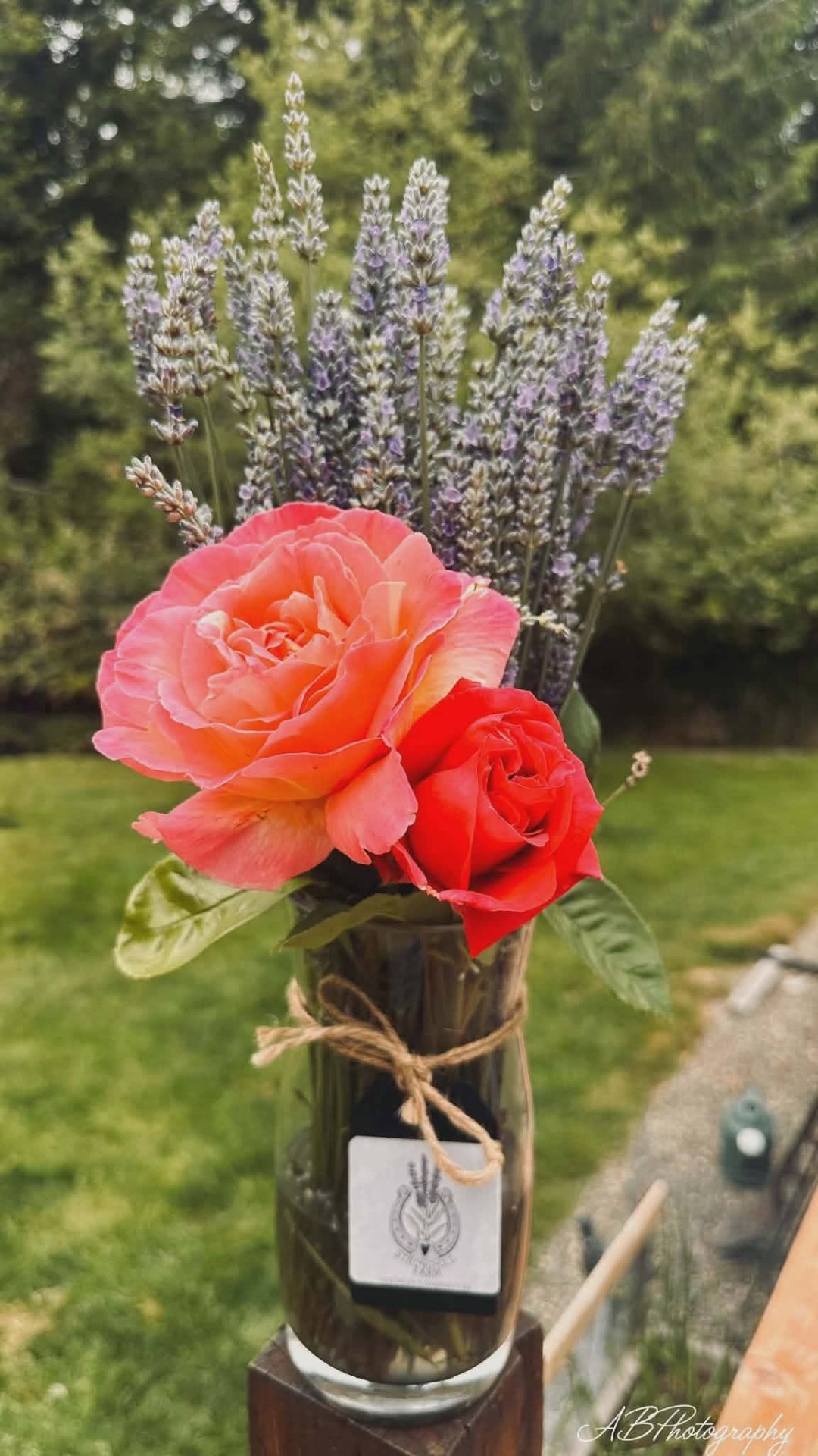 STRONGHOLD Lavender Farm, Gardeners in Cathlamet, WA - photo 5