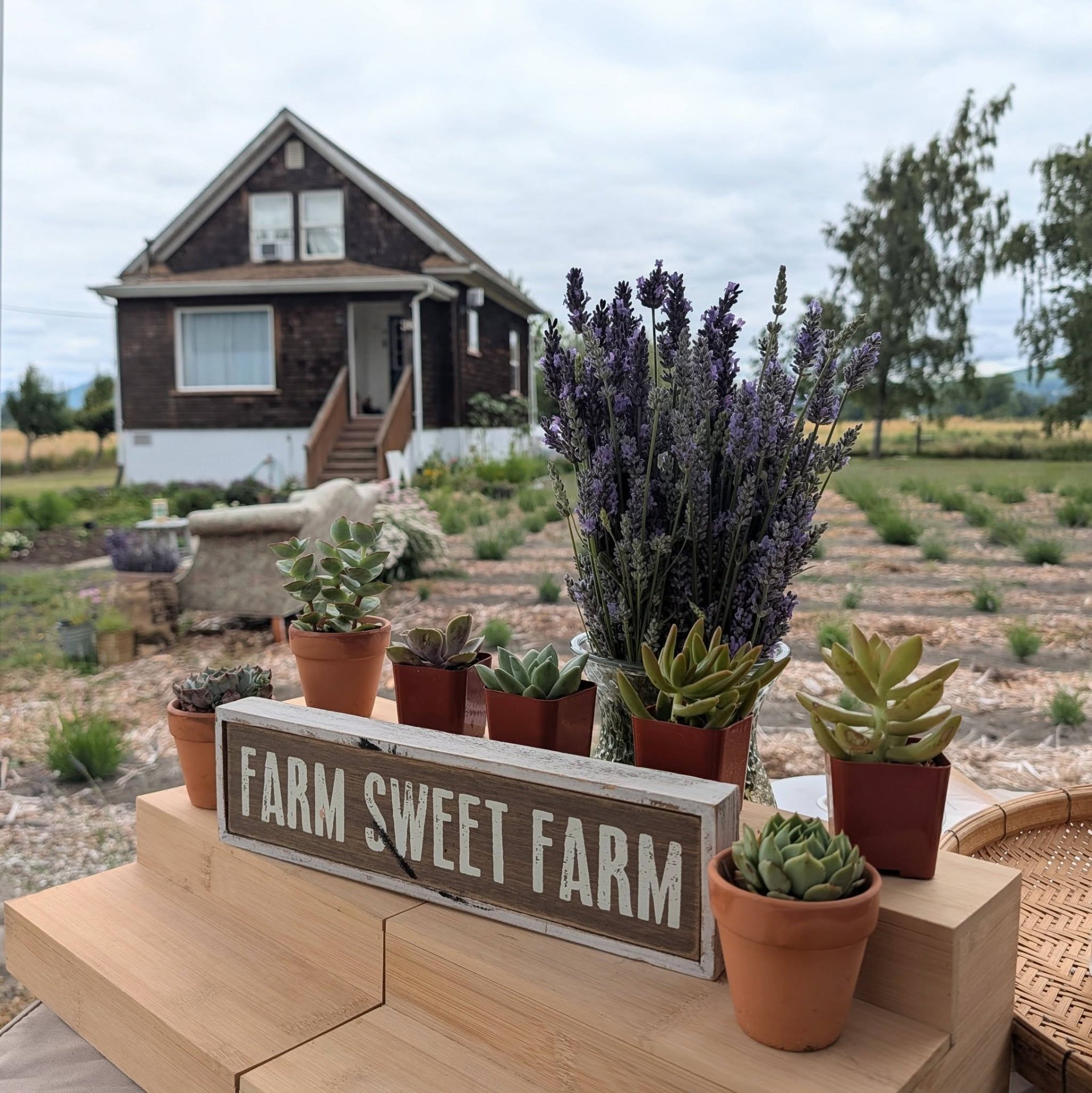 STRONGHOLD Lavender Farm, Gardeners in Cathlamet, WA - photo 8