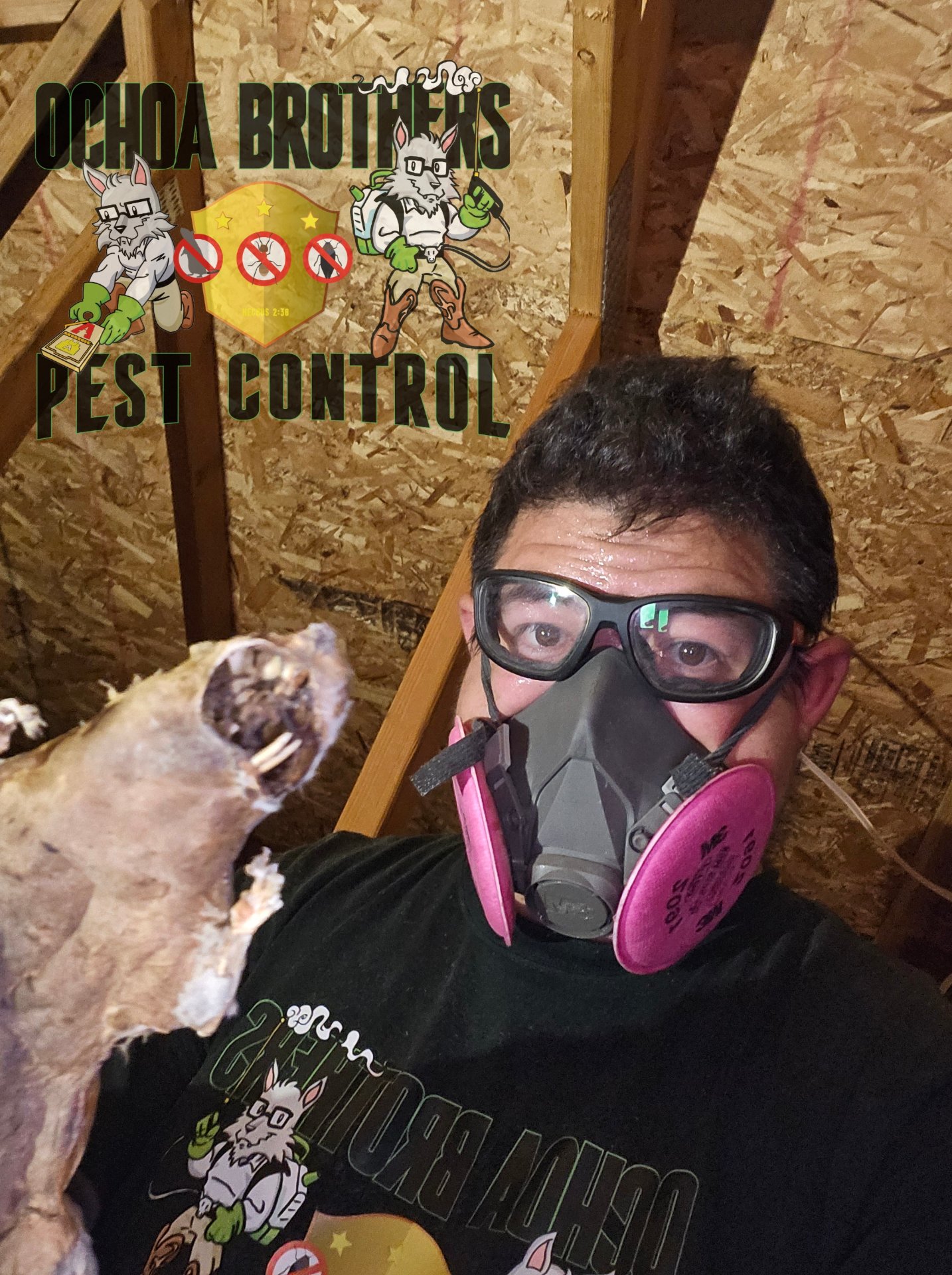 Ochoa Brothers Pest Control, Pest Control Services in Dulzura, CA - photo 1