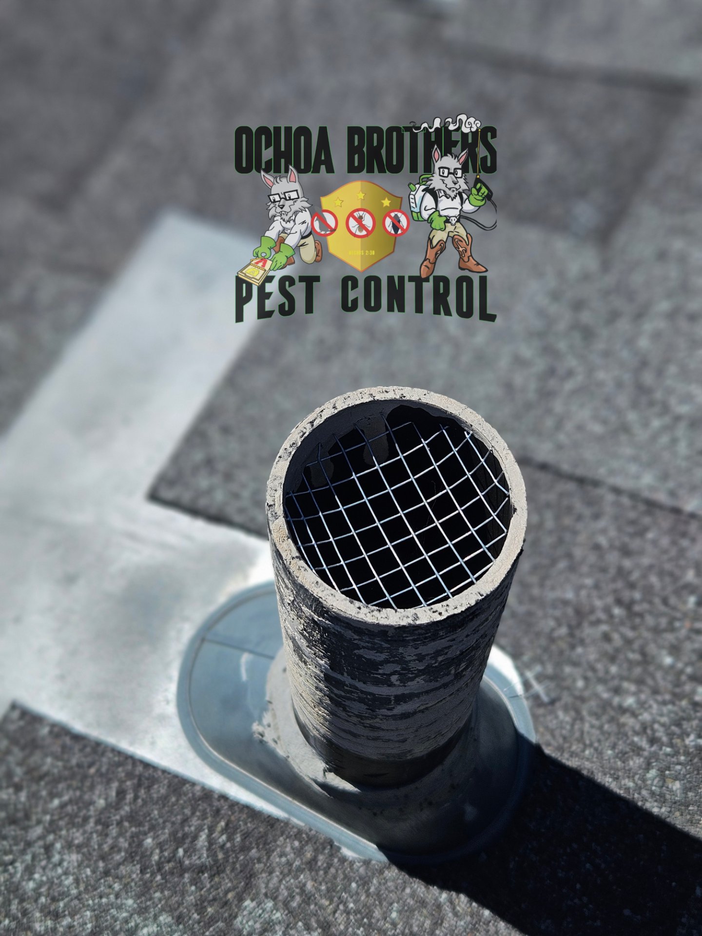 Ochoa Brothers Pest Control, Pest Control Services in Dulzura, CA - photo 5